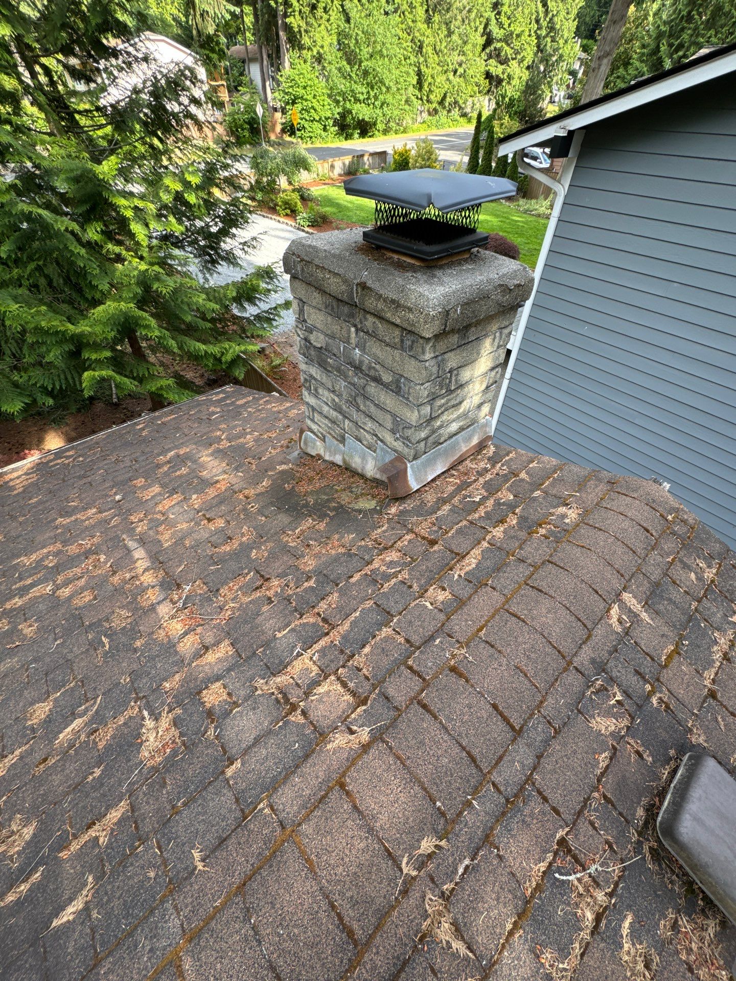 Project in Edmonds by Peaks and Valleys Construction