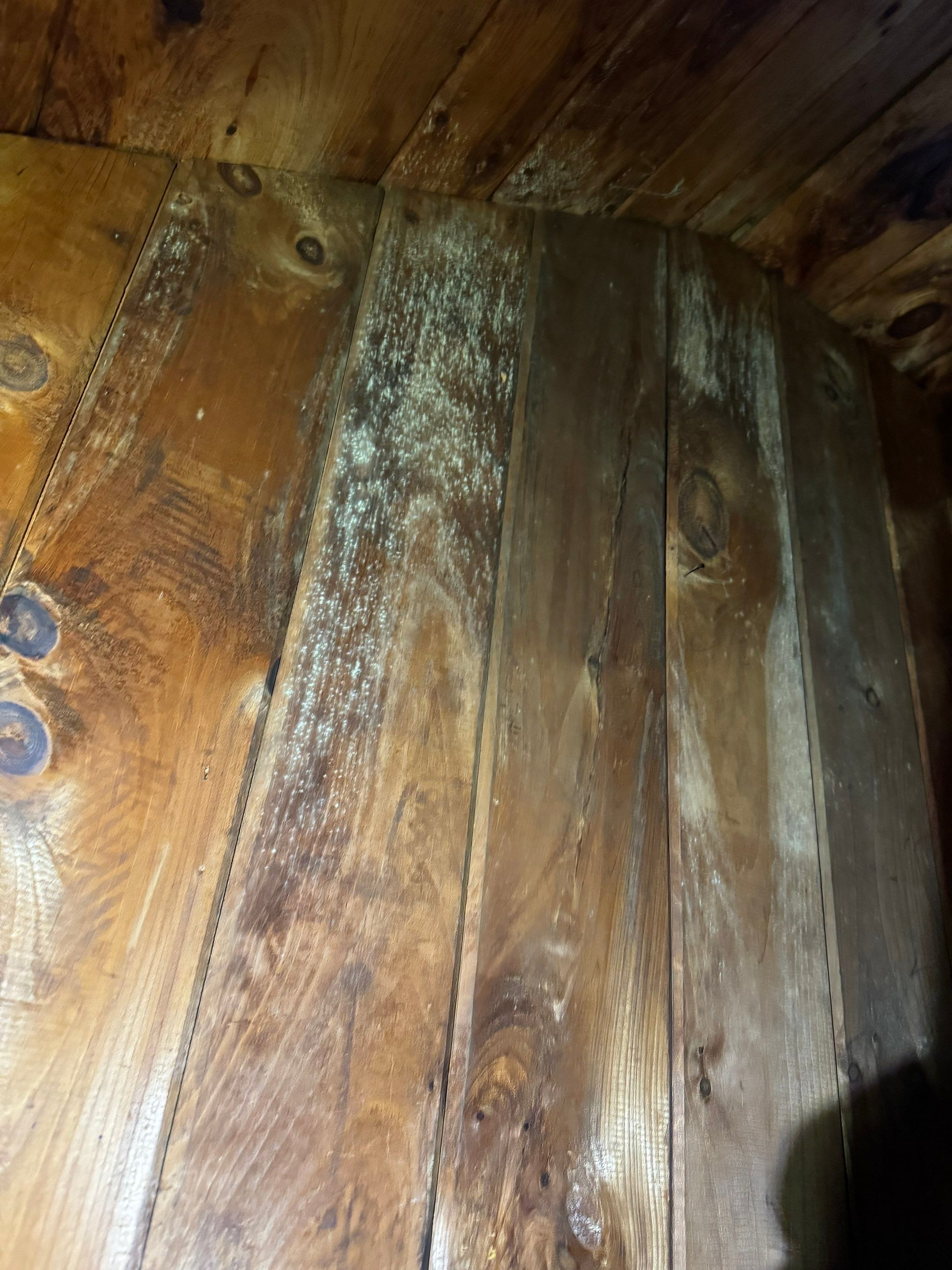 Entire Home Remediation by Home Guarantee, LLC