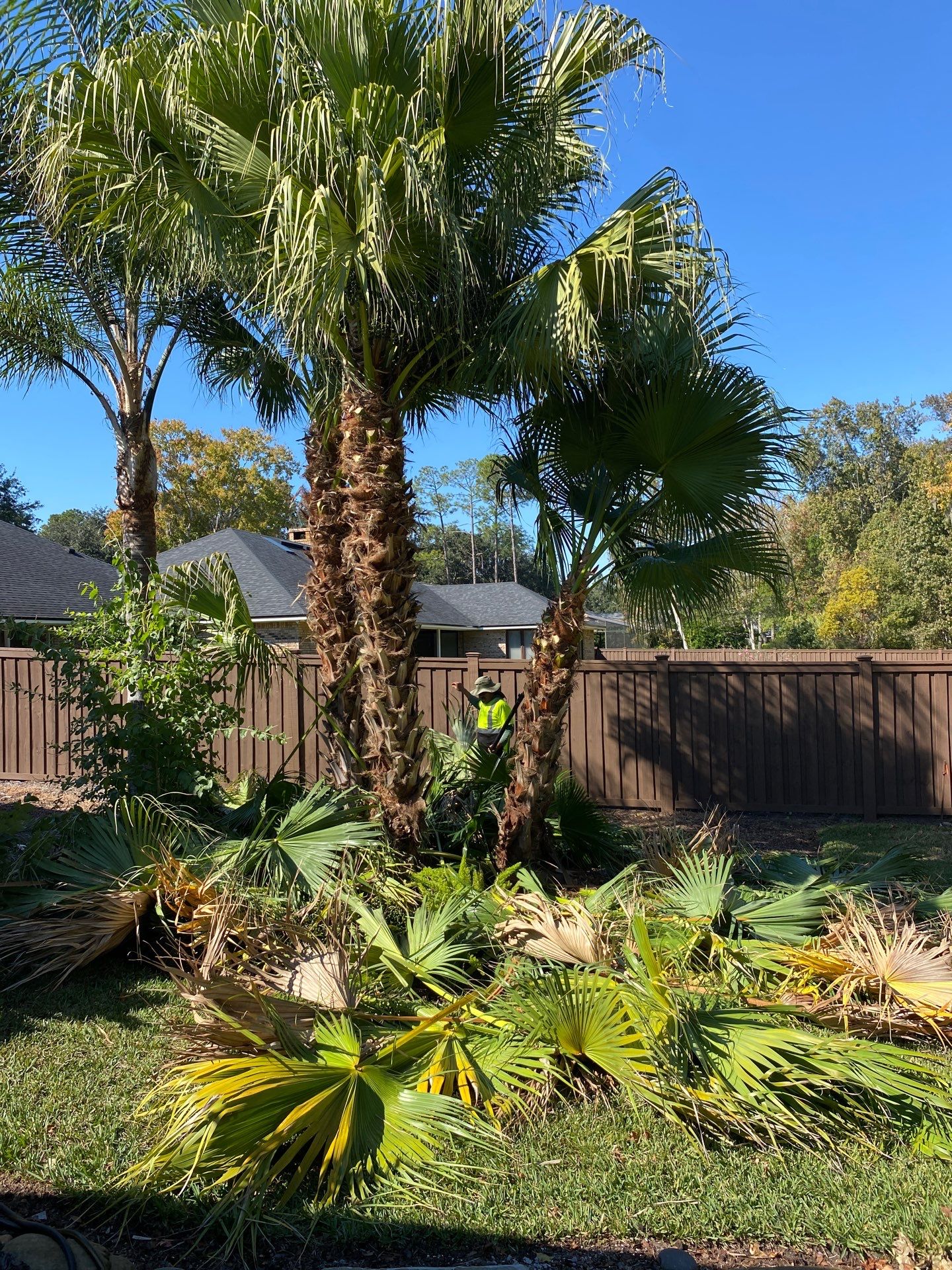 Deerwood Resident | Extreme Clean Up by ProGreen Services