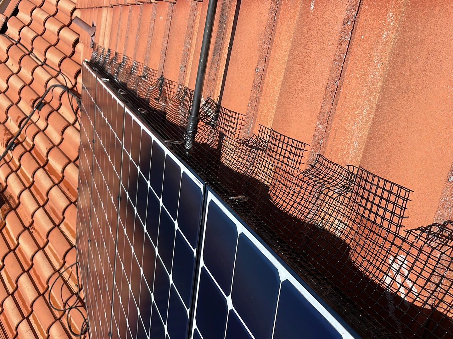 Solar Panel Bird Proofing using Critter Guard Mesh by All One Solar Shine