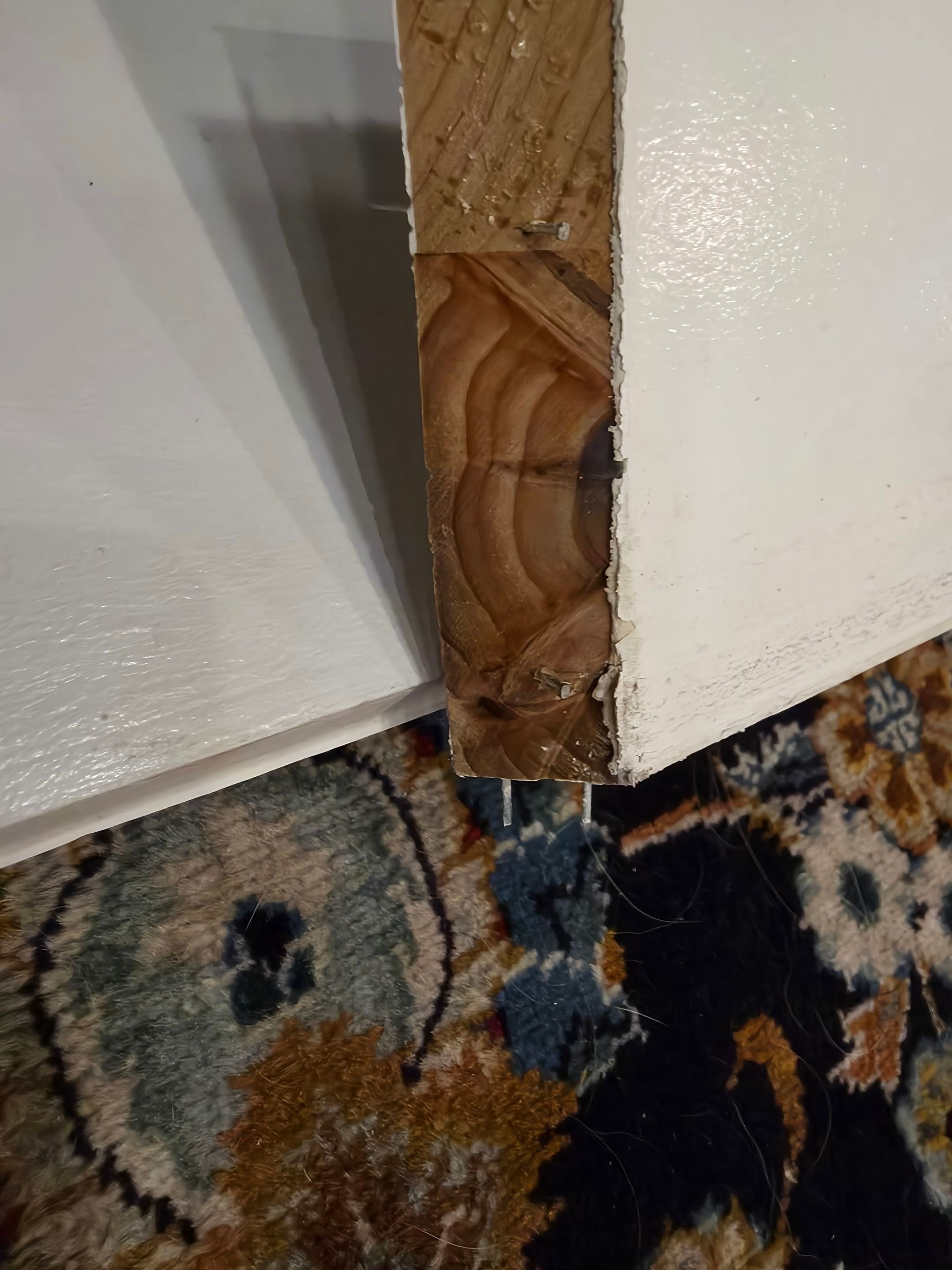 Anna and Allan Branch  by Service Restoration