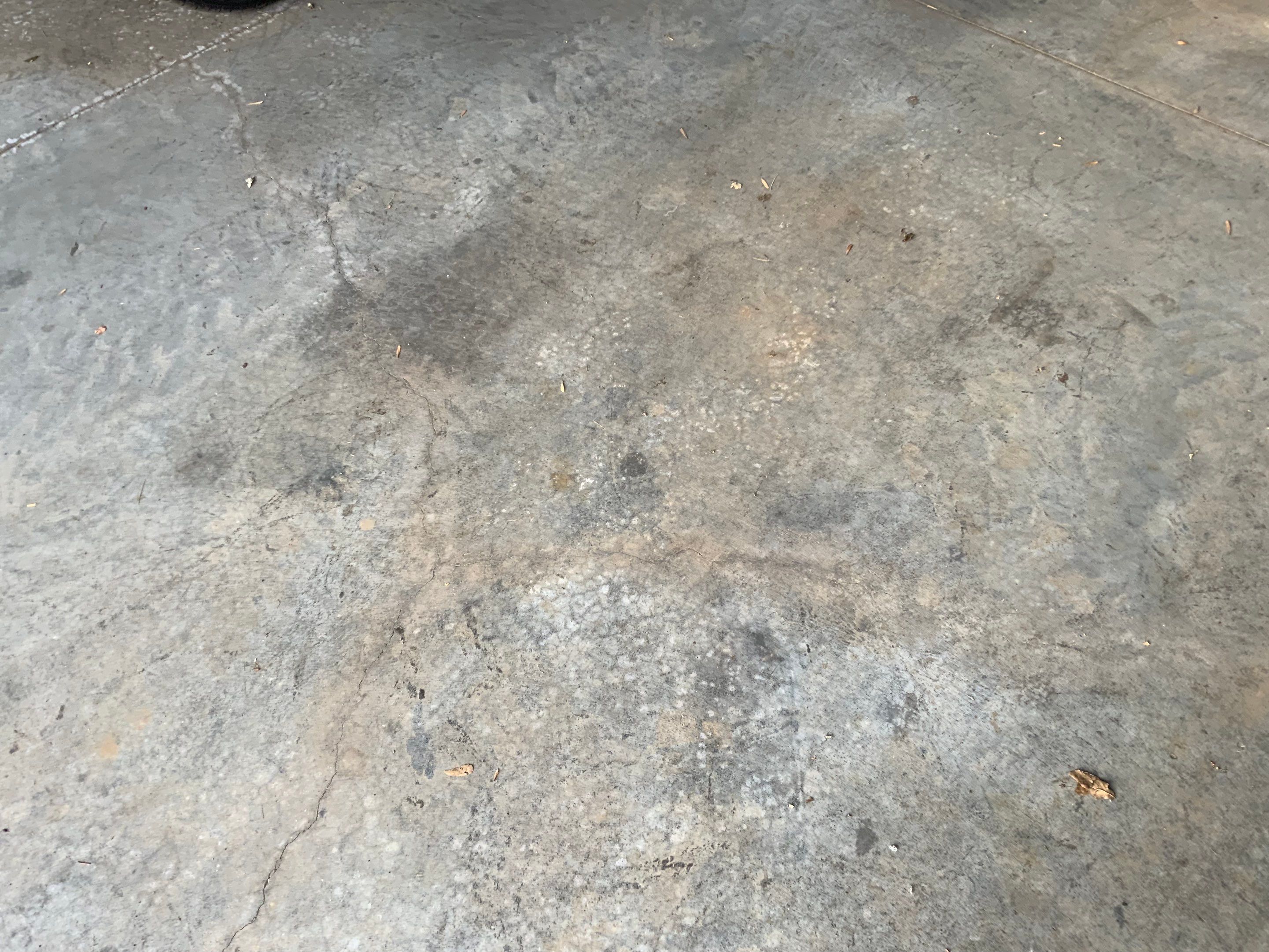 Garage using Silver Creek by Select Painting, Coatings & Garage Cabinets