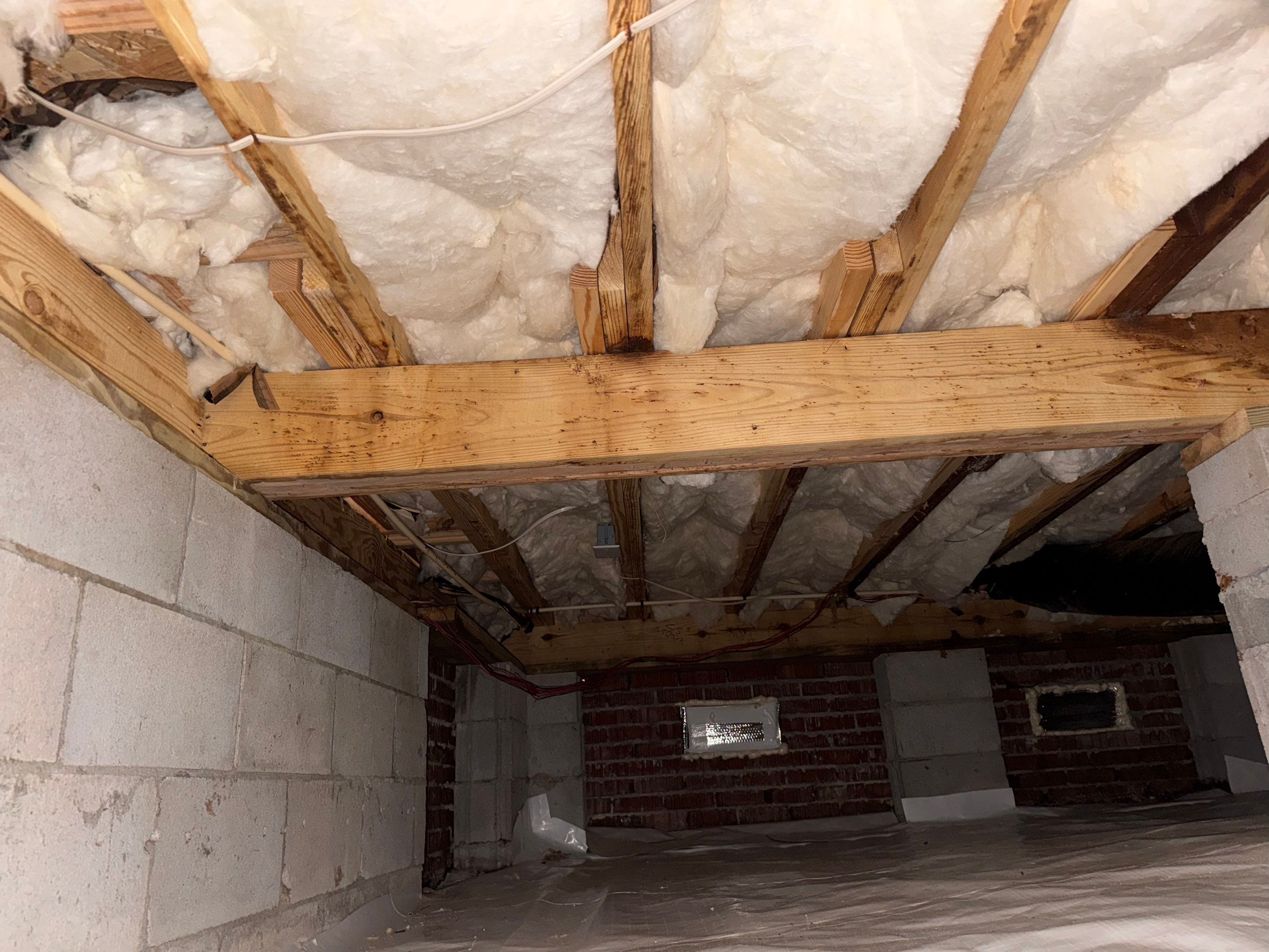 Moisture Barrier, Mold Clean, Structural Repair, Dehumidifier, R19 Insulation. by Impact Crawlspace
