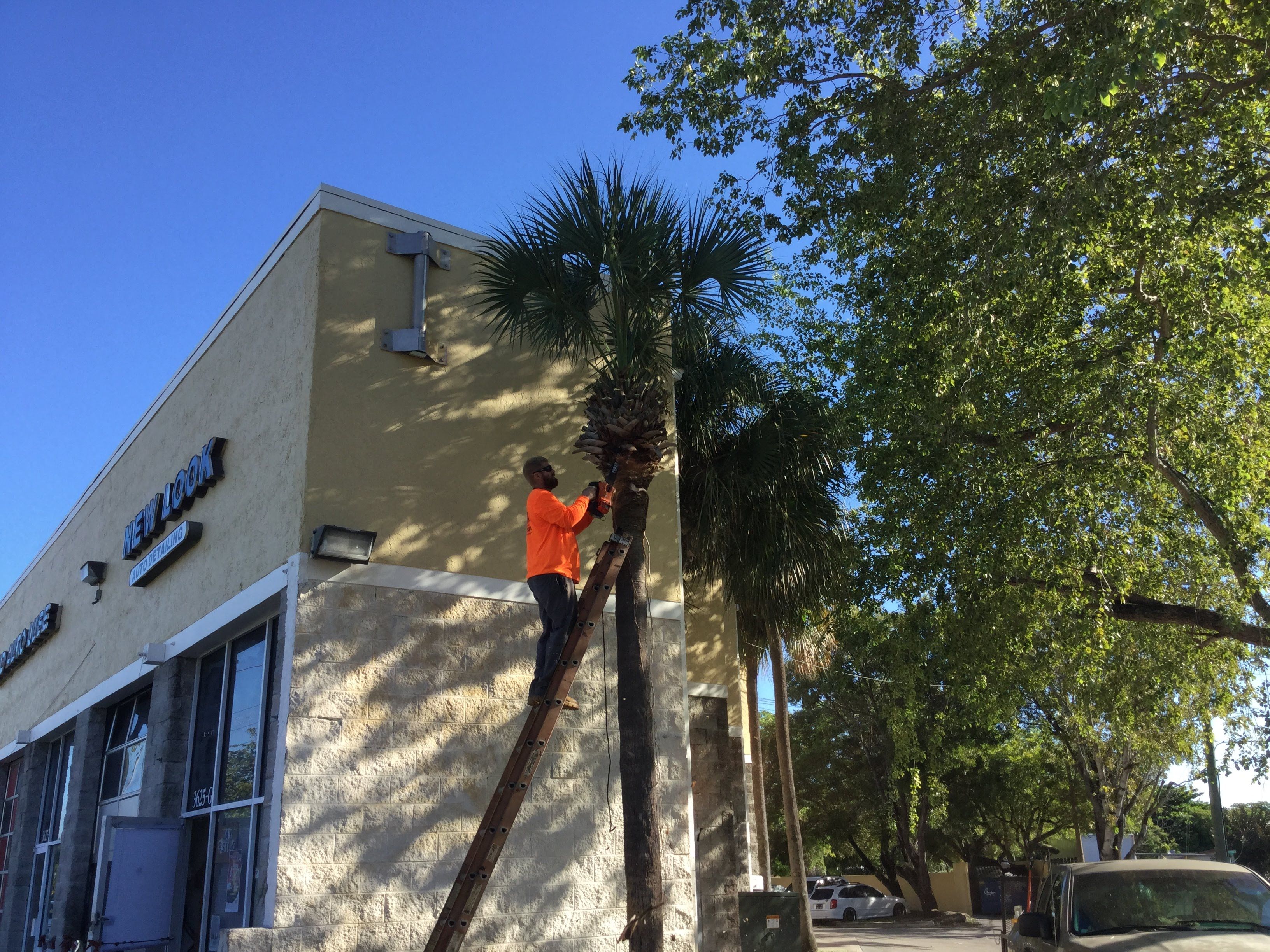 General Maintenance by
M.A.B. Landscaping & Property Maintenance