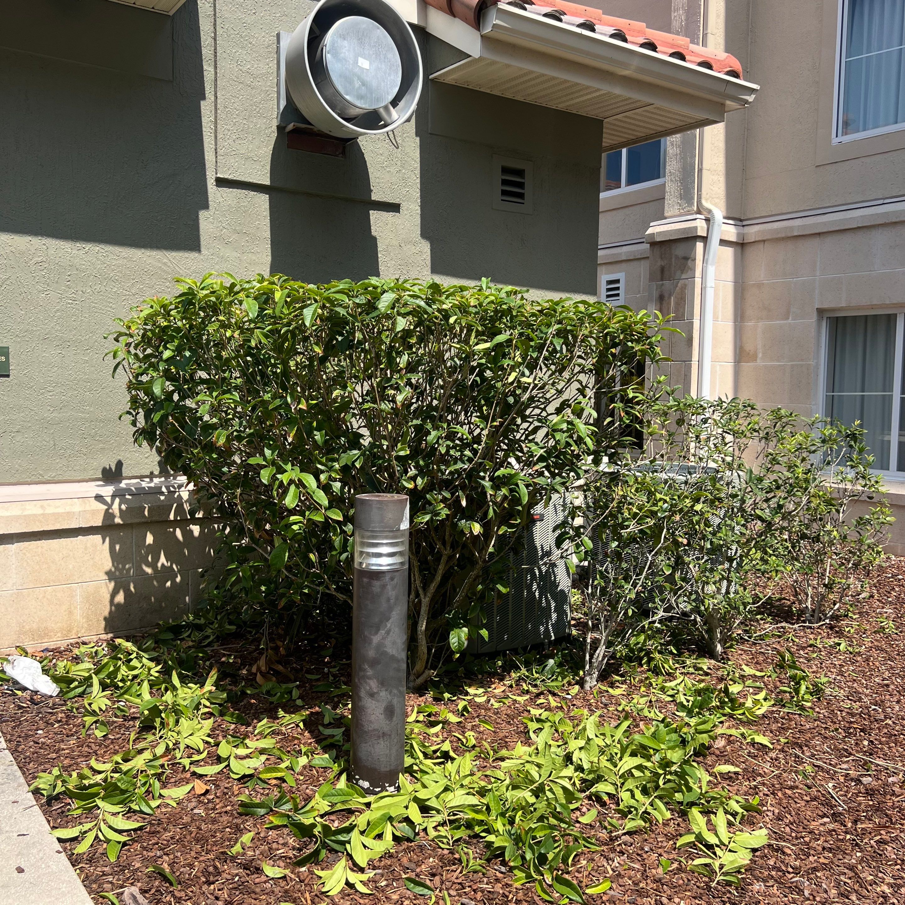 Homewood Suites | Tree Service by ProGreen Services