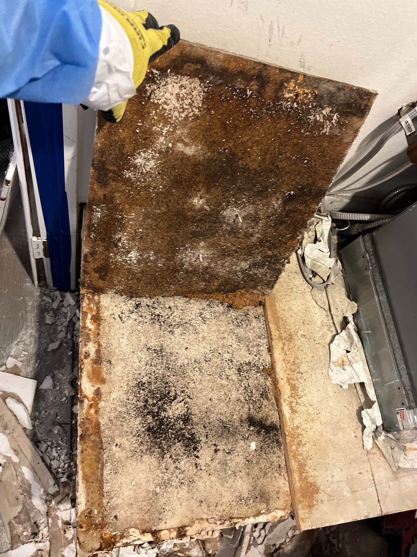 Mold Remediation & Rebuild in Laguna Niguel by One Stop Source