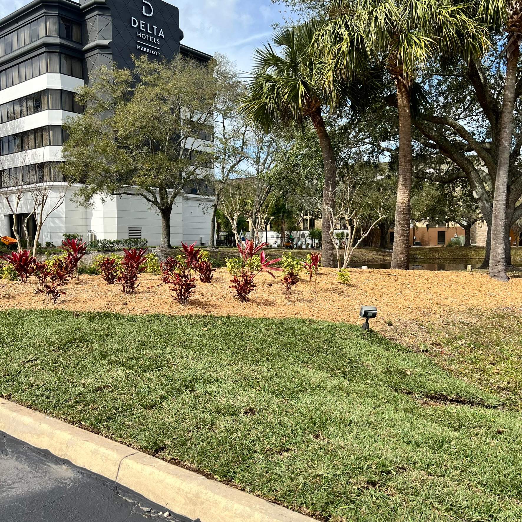 Landscape Install | Marriott Hotel by ProGreen Services