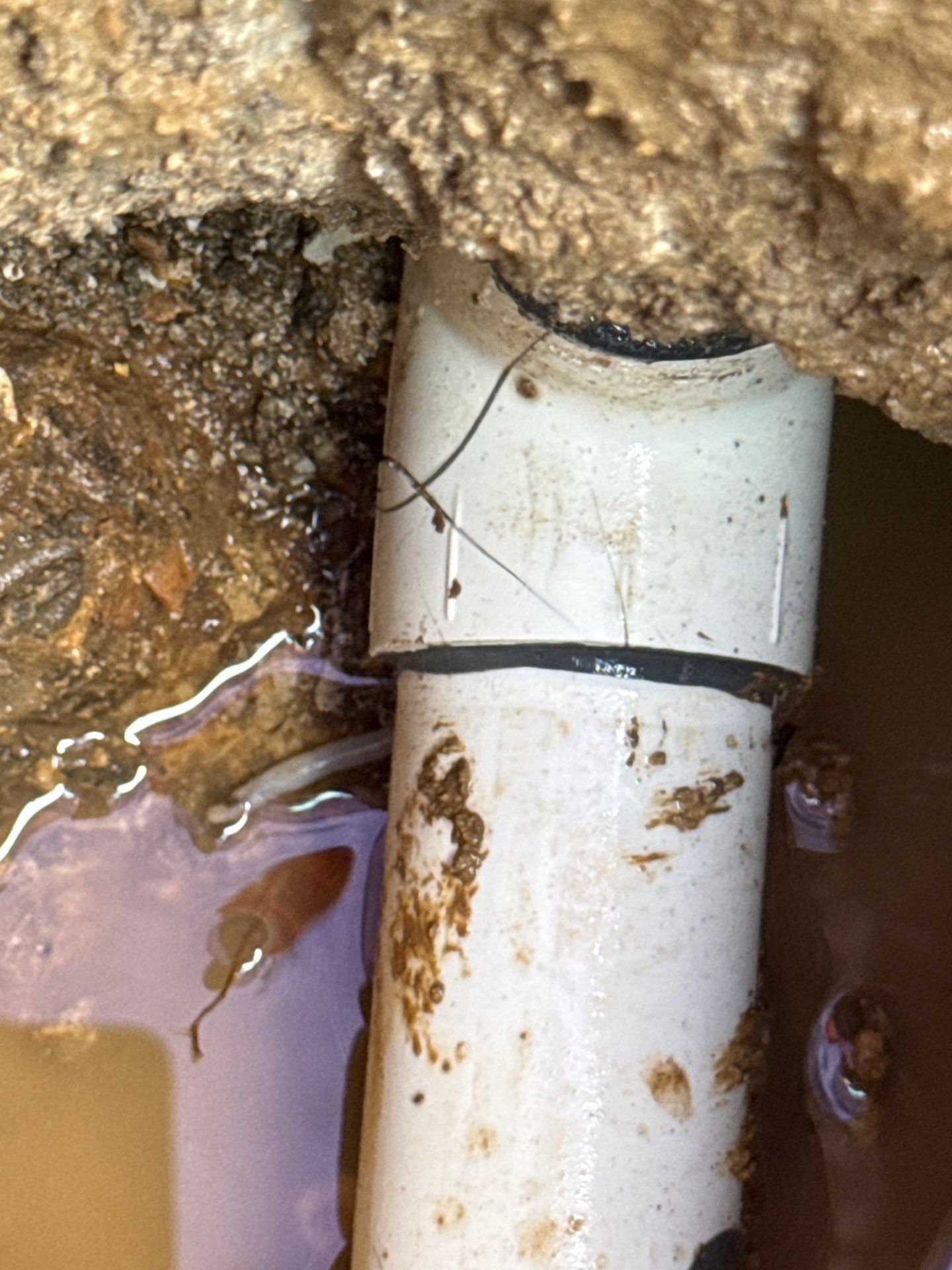 Grand Prairie Leak repair by Sink or Swim Pools