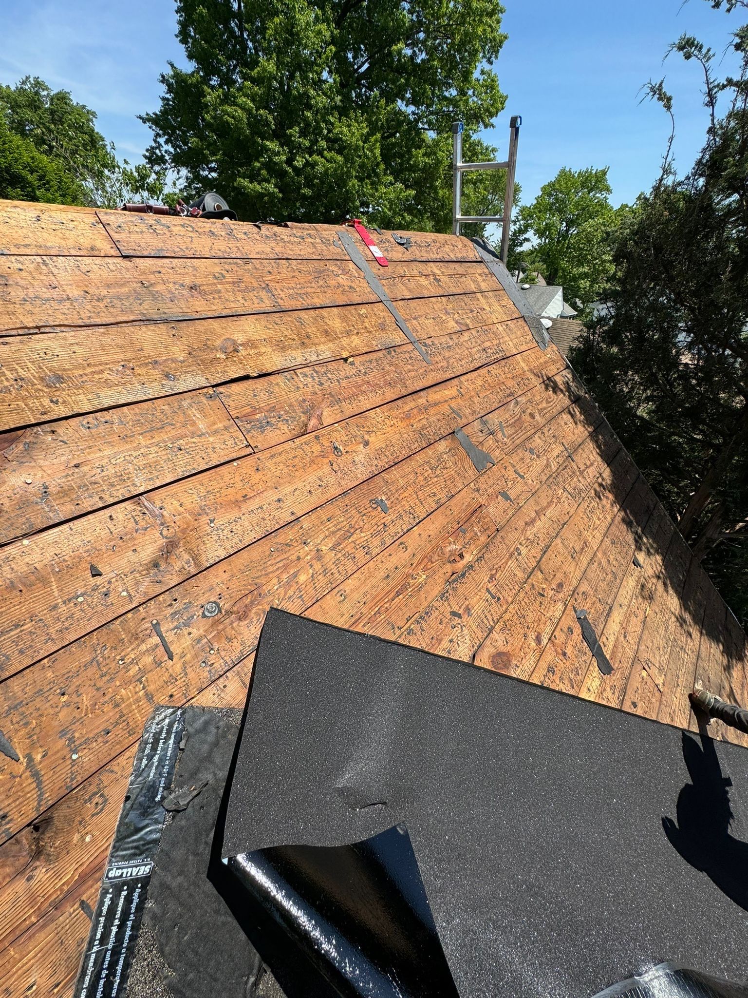 Desert Tan Shingles by Reimagine Roofing