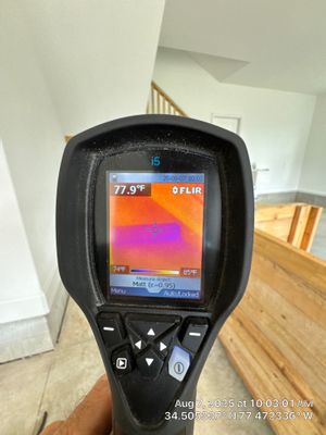 Mold Remediation in Holly Ridge