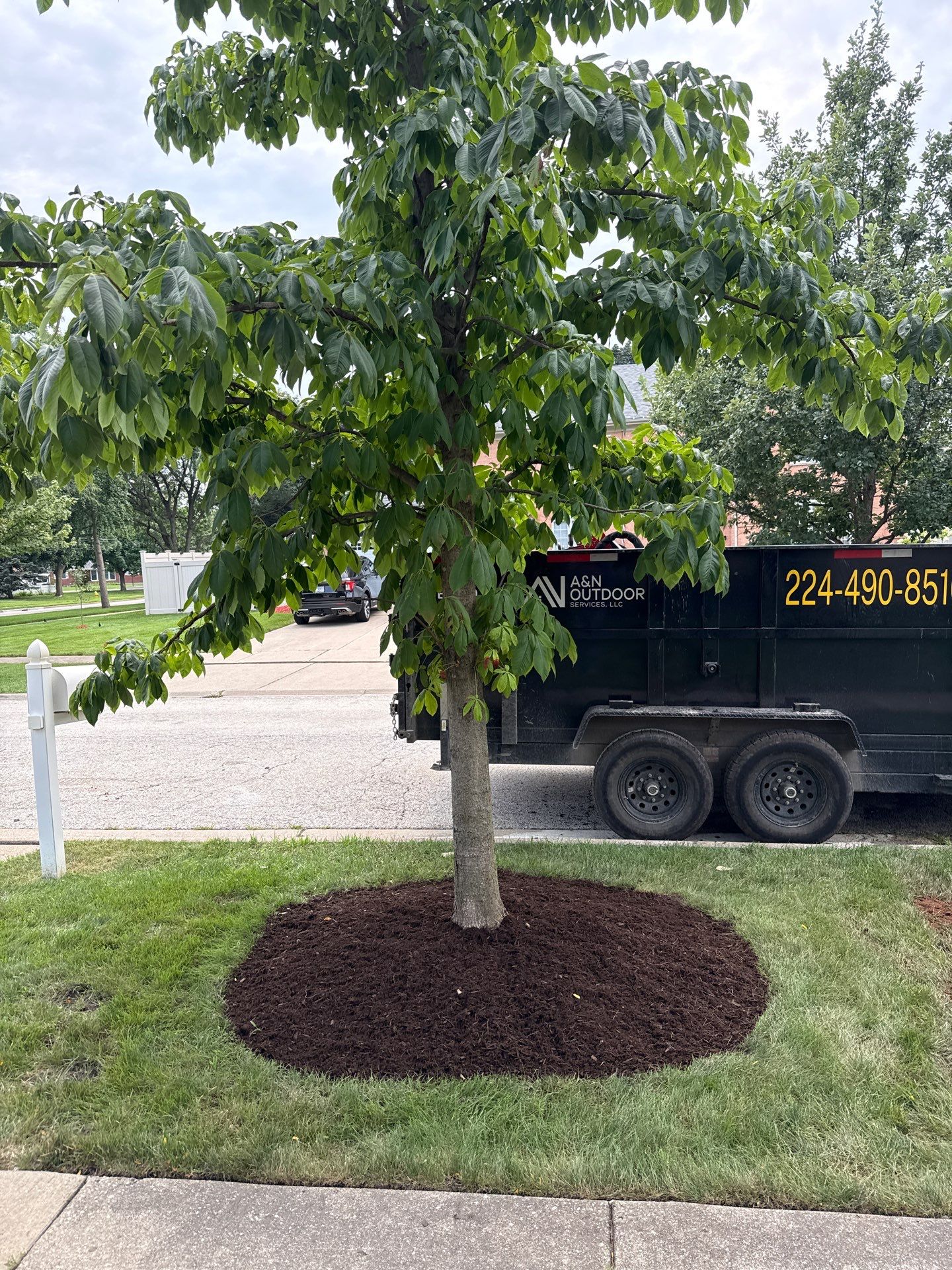 Marie R. - Glenview, IL by A&N 