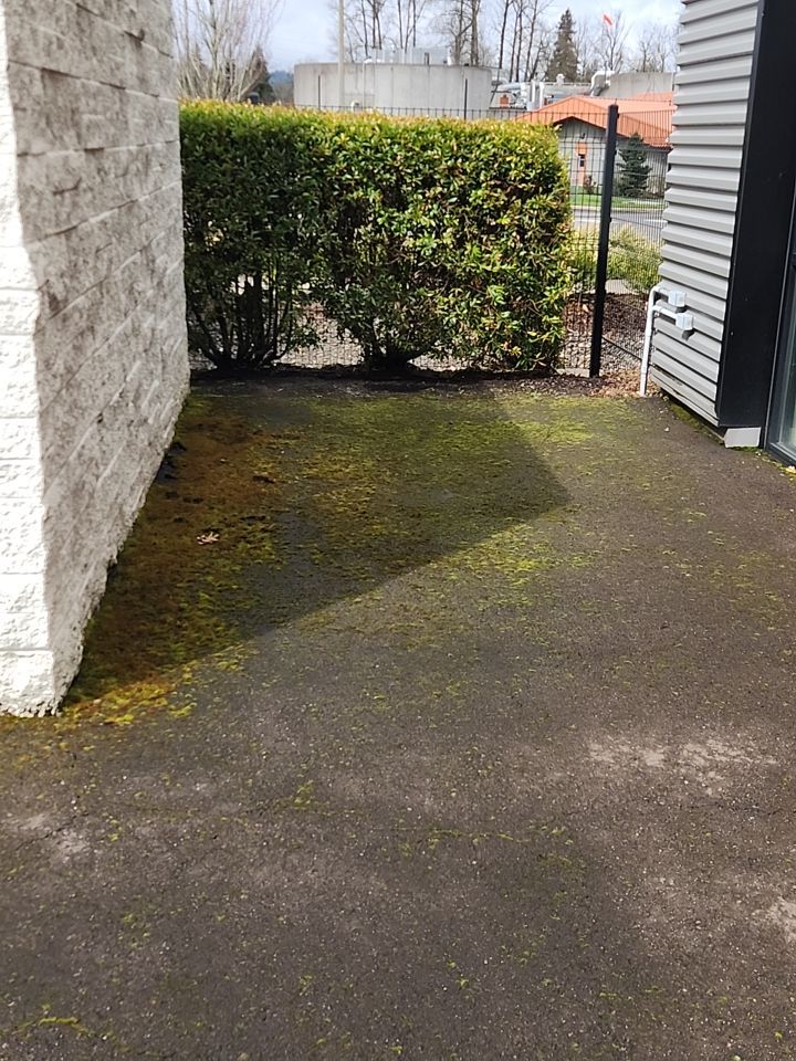 Soft Wash using Soft wash solution by Willamette Outdoor Wash LLC