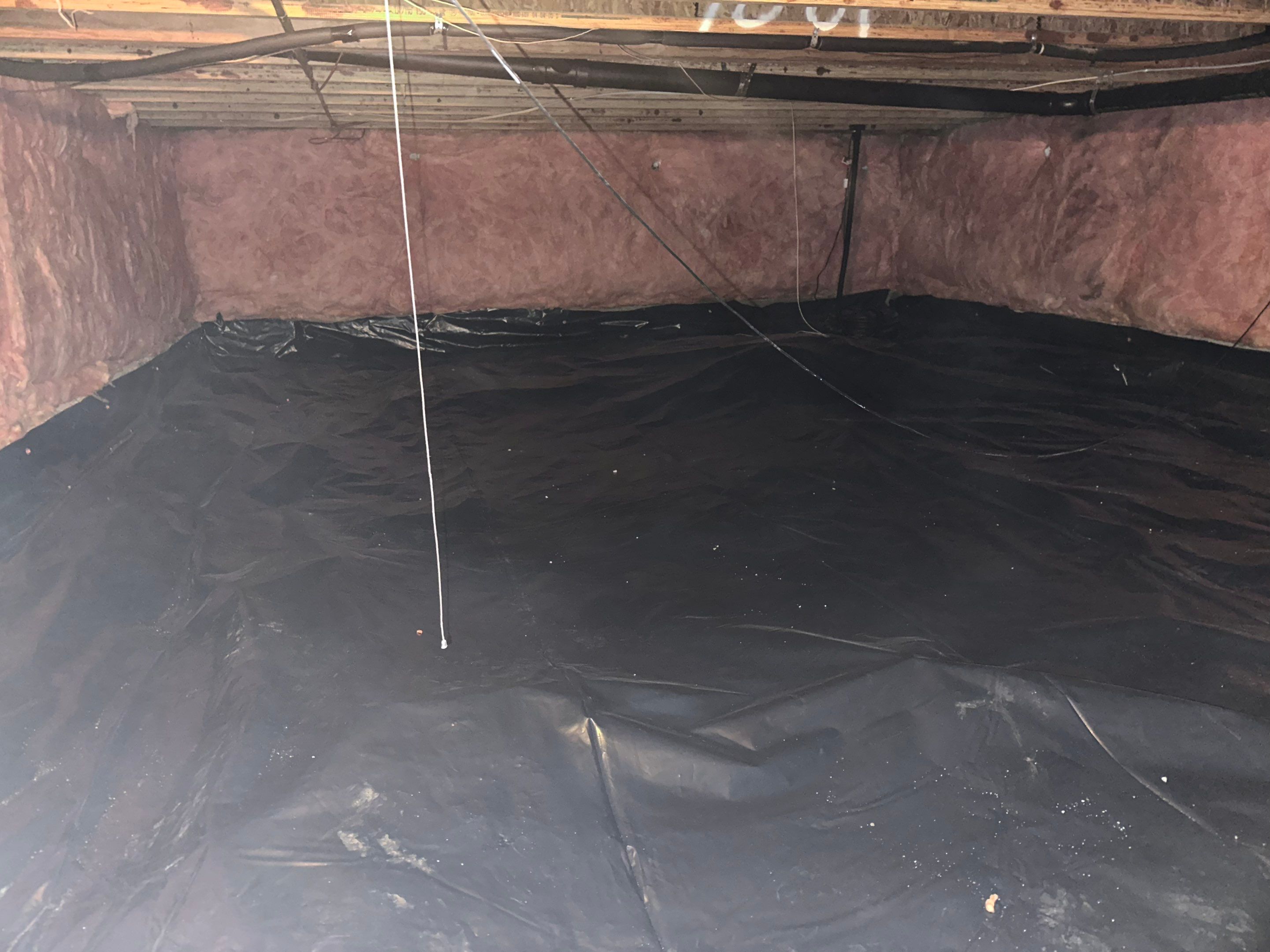 Mold Removal in Brighton, CO by Alpha Restoration 
