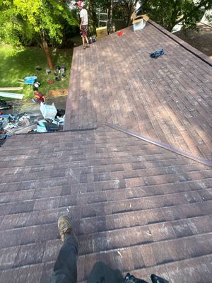 Roof Replacement