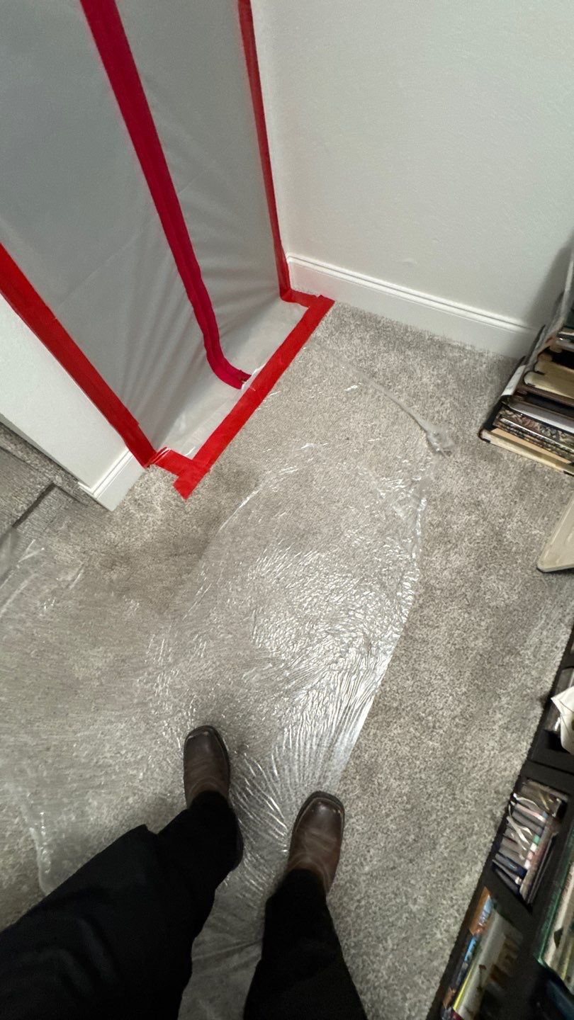 Mold Project in Thornton by Accountable Home Services