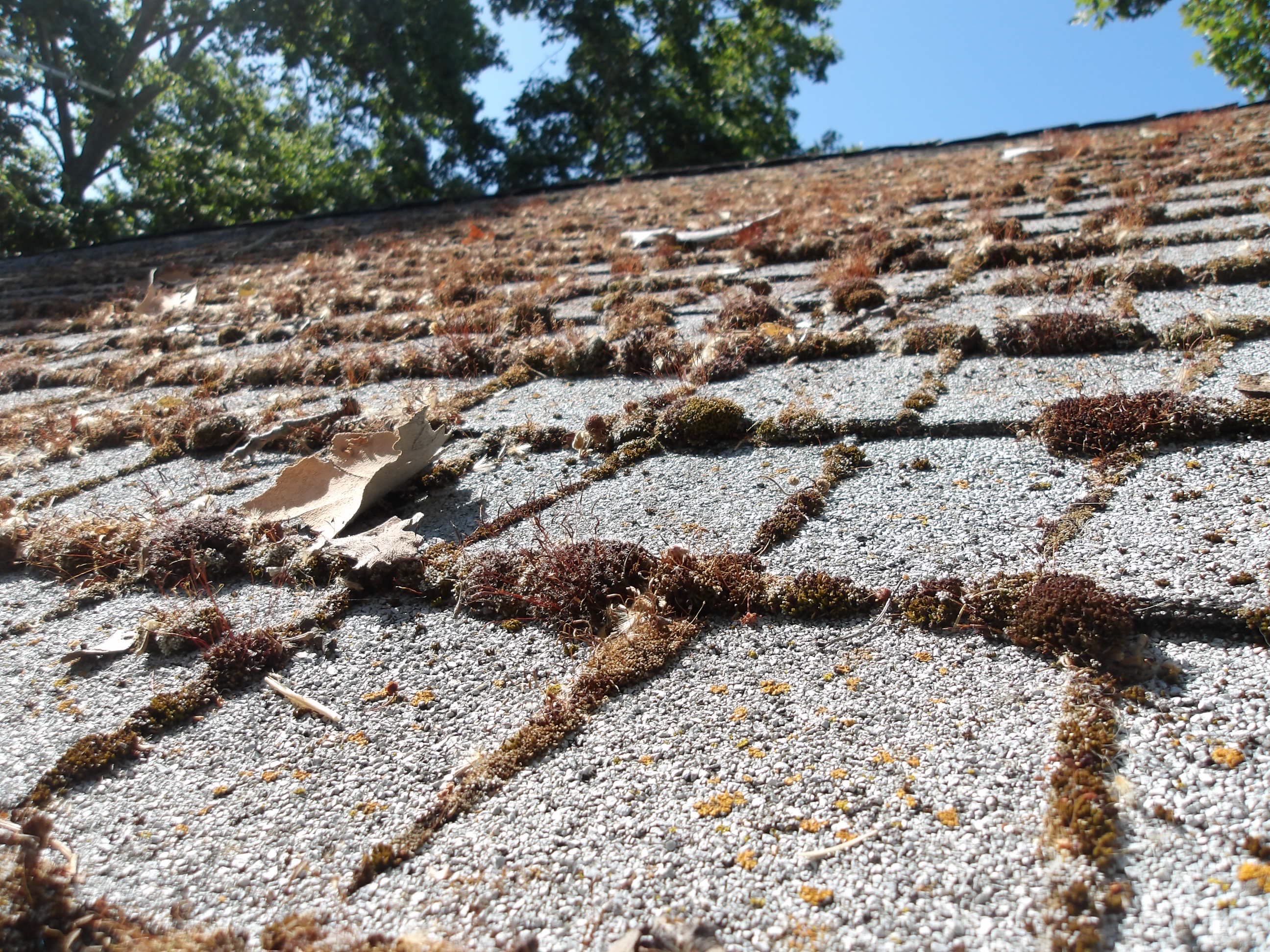Roof Restore using Pressure Washer by Byers Enterprises 