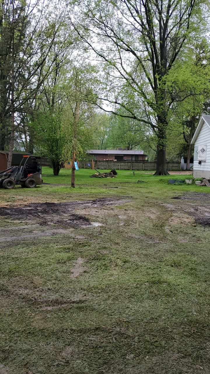 Tree Removal using Tree Removal by Mike Jones & Sons Tree Service LLC 