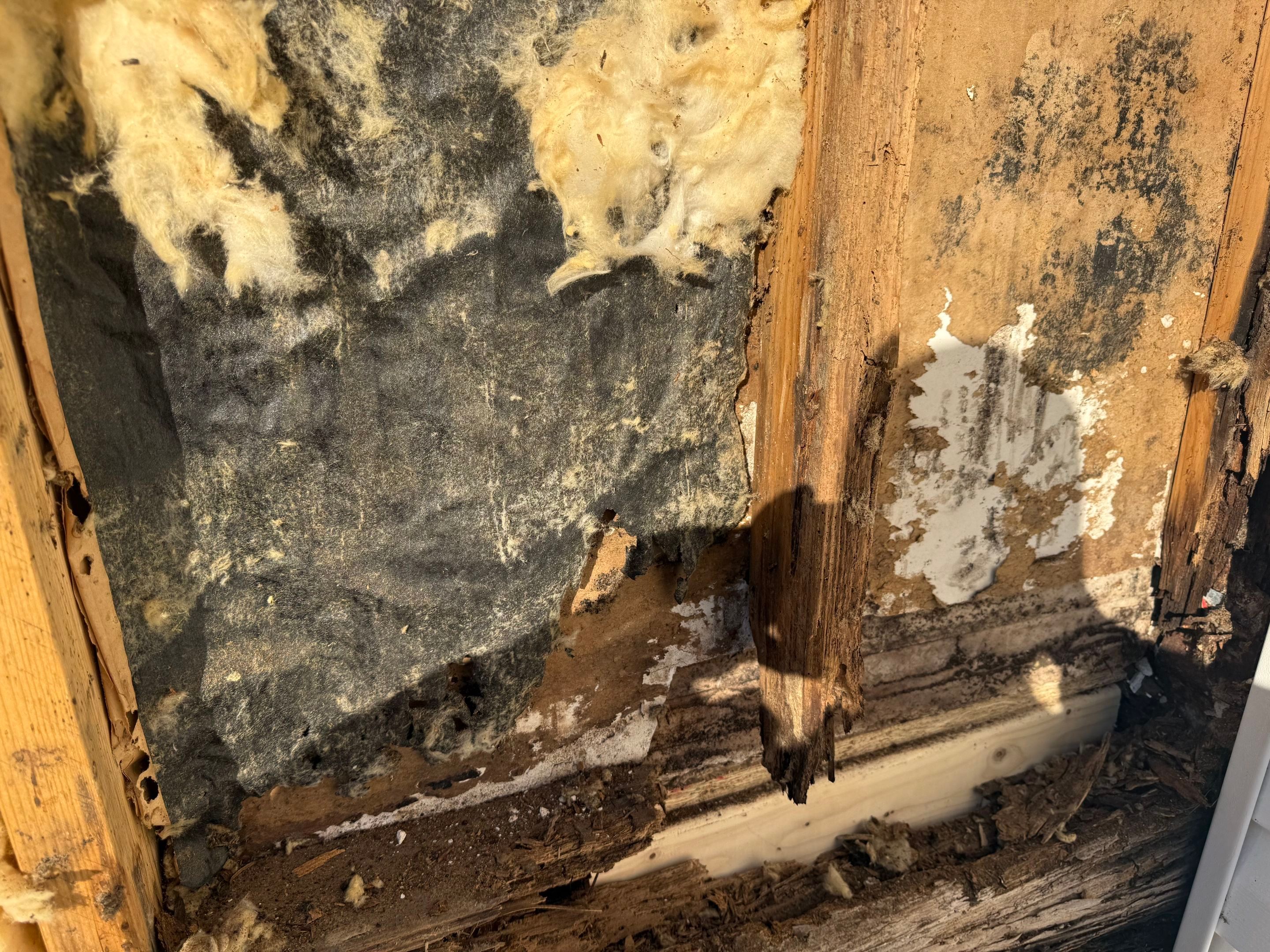 Valdosta Structural Remediation and Interior Renovation with New Header Beams by Trinity General Contracting Pros