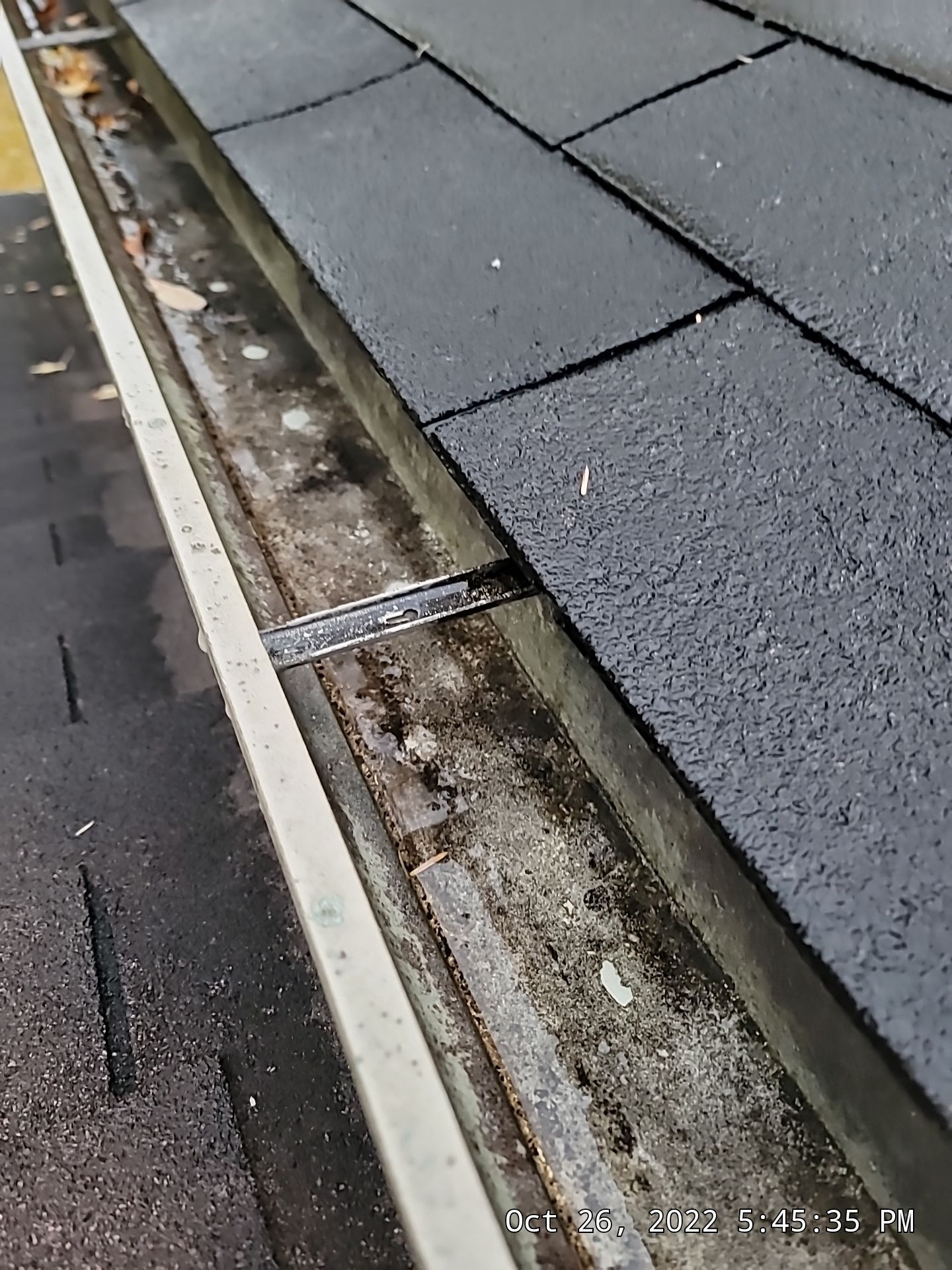 ATLAS PINNACLE COLOR: PRISTINE SCOTCHGARD WEATHERED DRIP EDGE: MUSKET BROWN by Eagle Eye Roofing