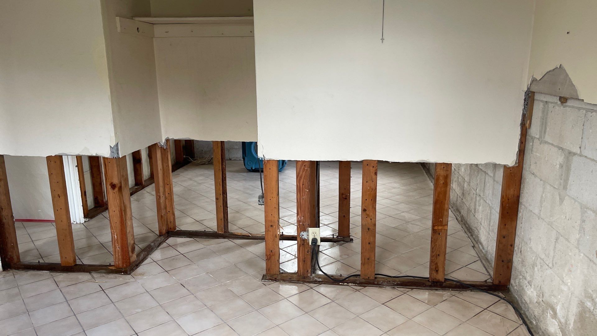 Mold Remediation  by THE RAPID TEAM