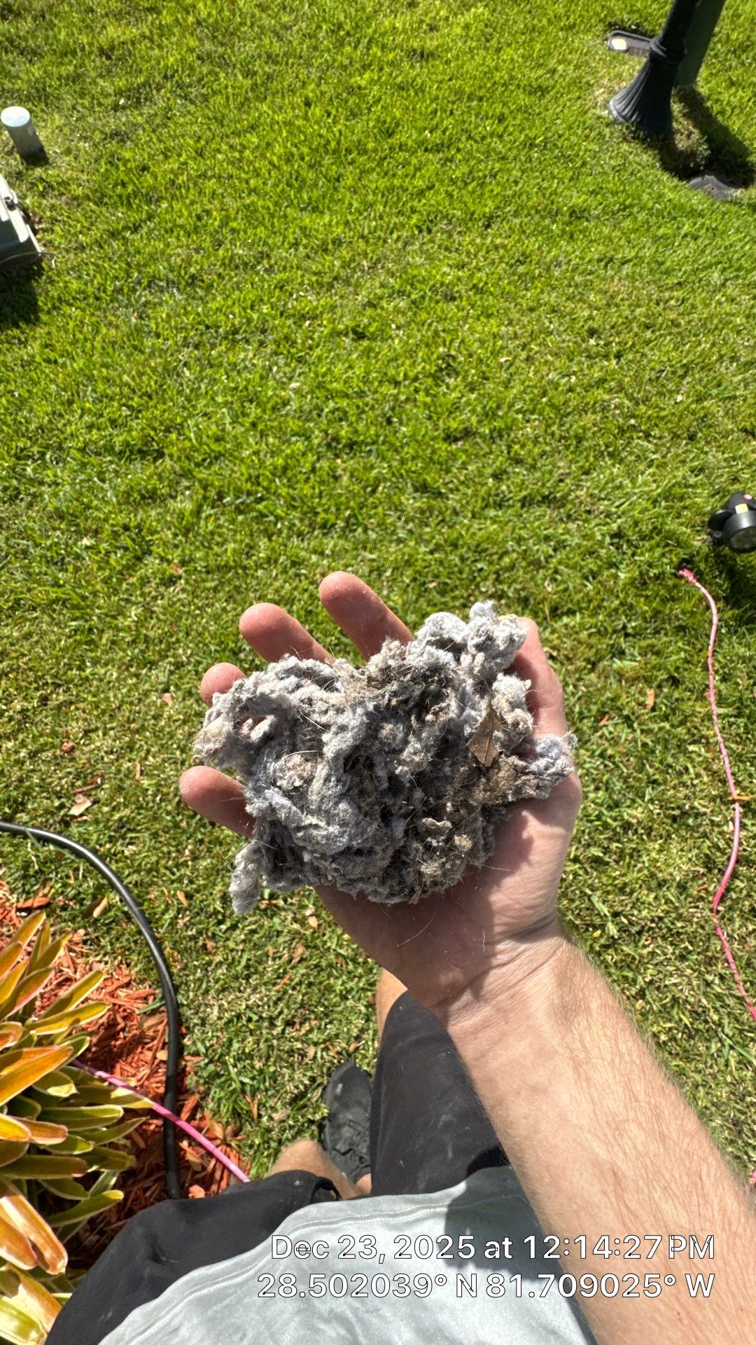 Air Duct Dryer Vent Cleaning Encapsulation Dryer Vent Repair in Clermont by Hygienic Air, Inc