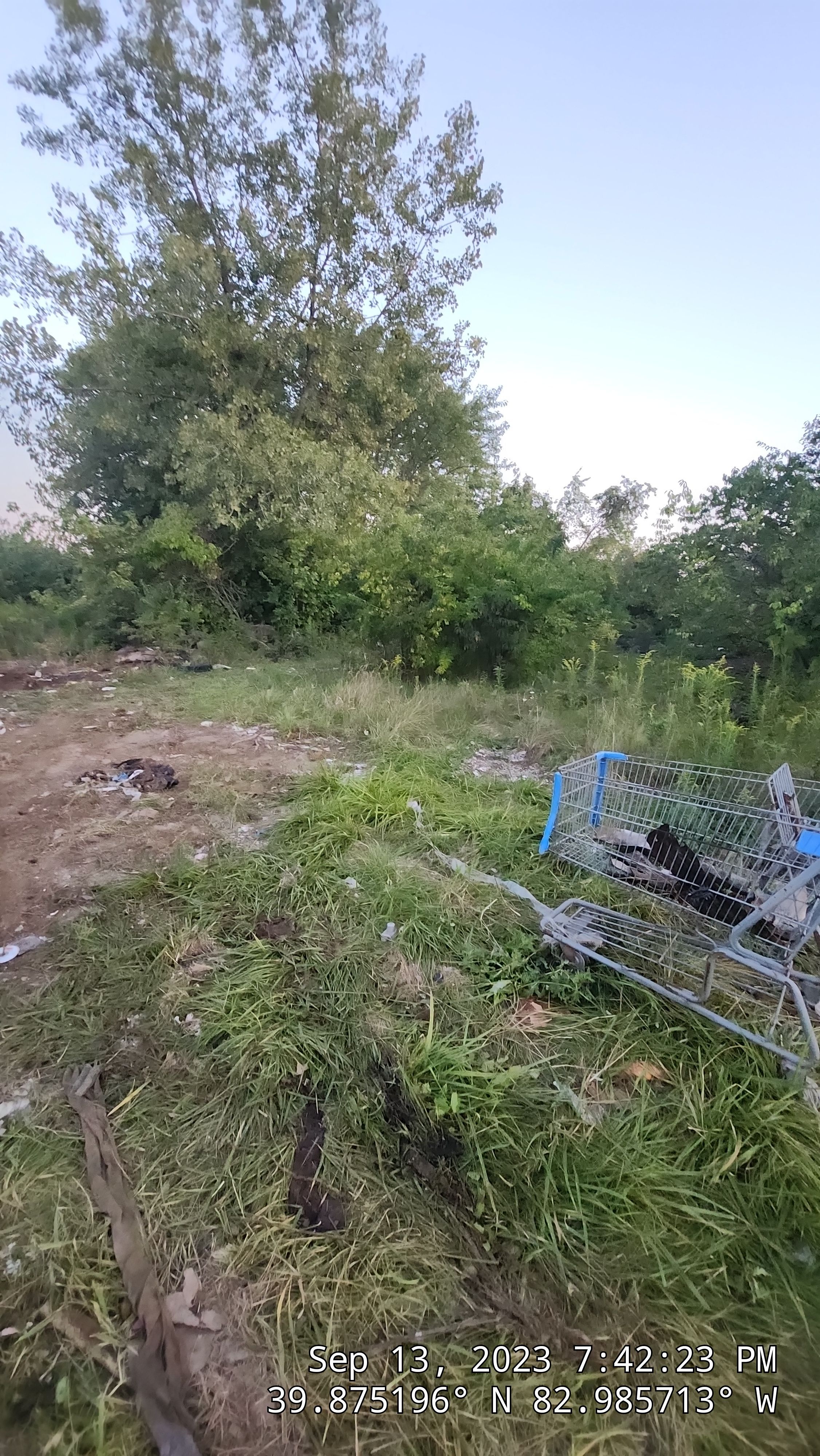 Exterior Junk Removal by 10X Property Mgt