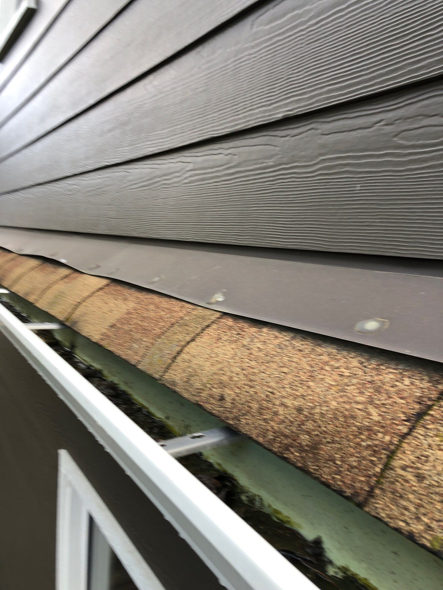 Project in Seattle by Peaks and Valleys Construction