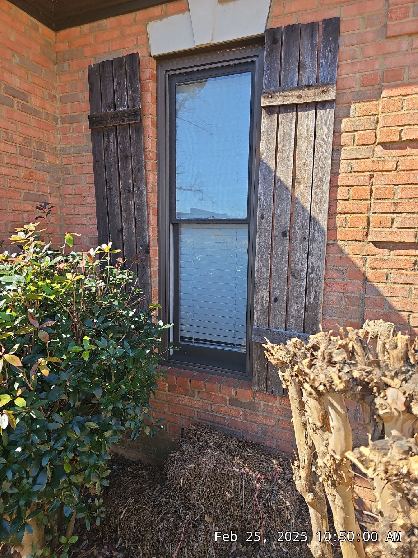 Bailey Project in Vestavia Hills by The Window Source
