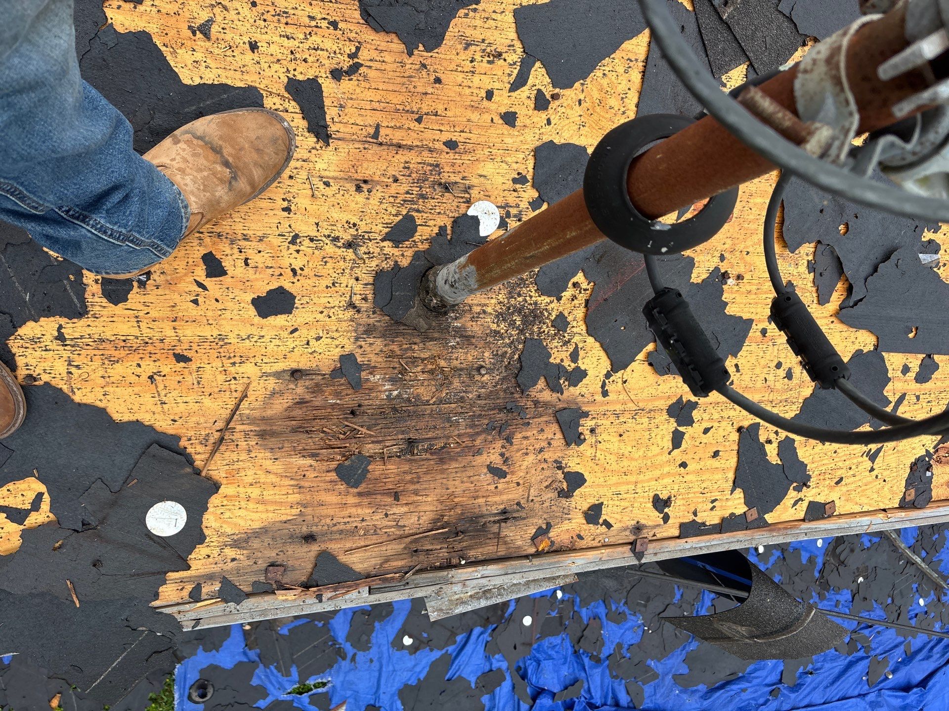 Roof Repair El Campo by Roof Repair Services LLC