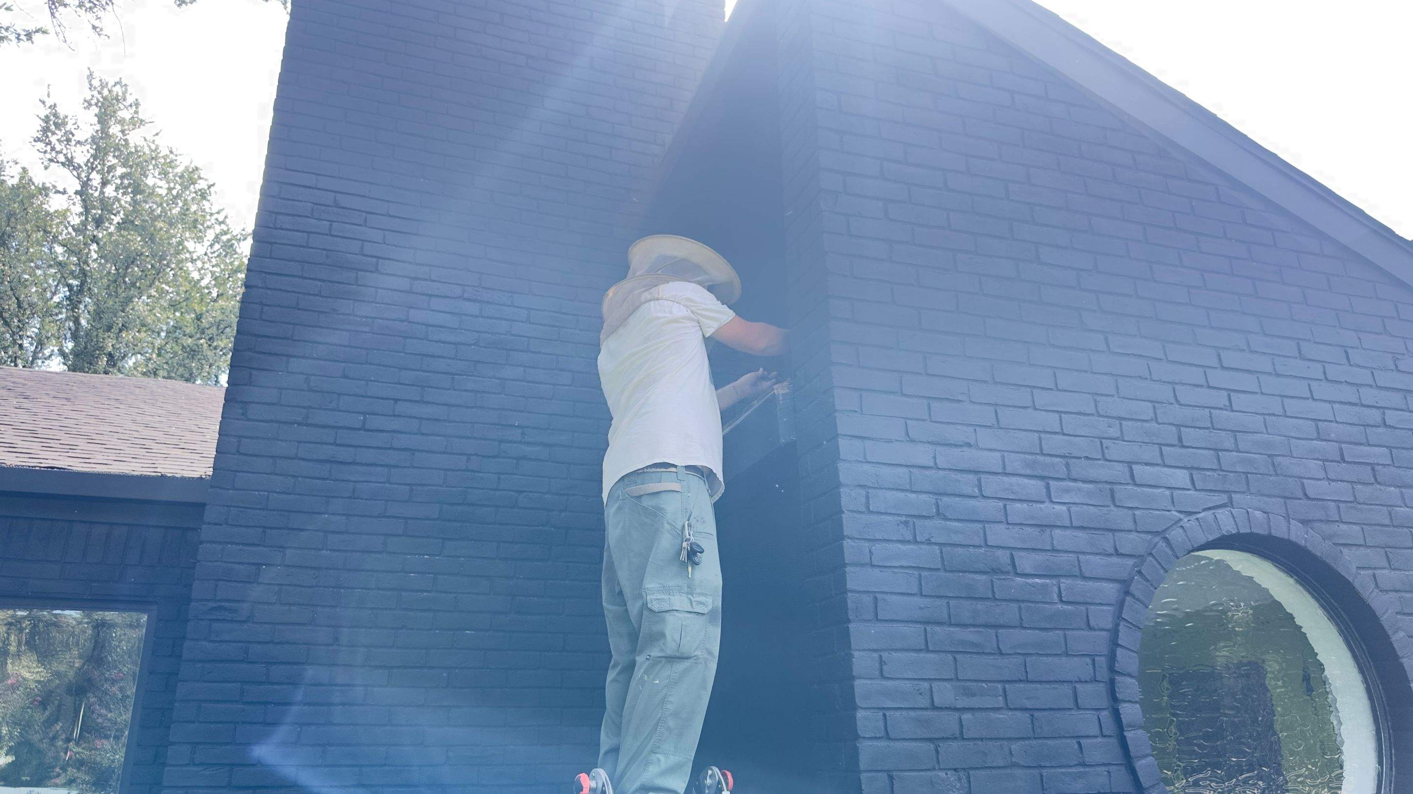 Sneakers by Rockwall Honey Bee Company