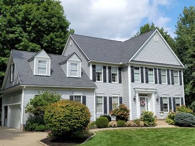 Brand: Atlas Pinnacle Color: Pristine Socthgard Pewter Drip: Black