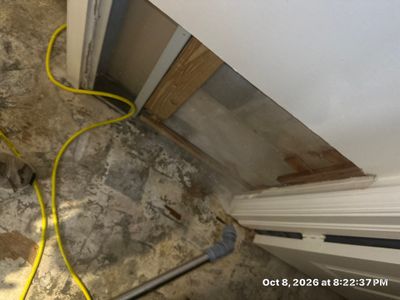 Roof Leak Water Damage — Naples, FL