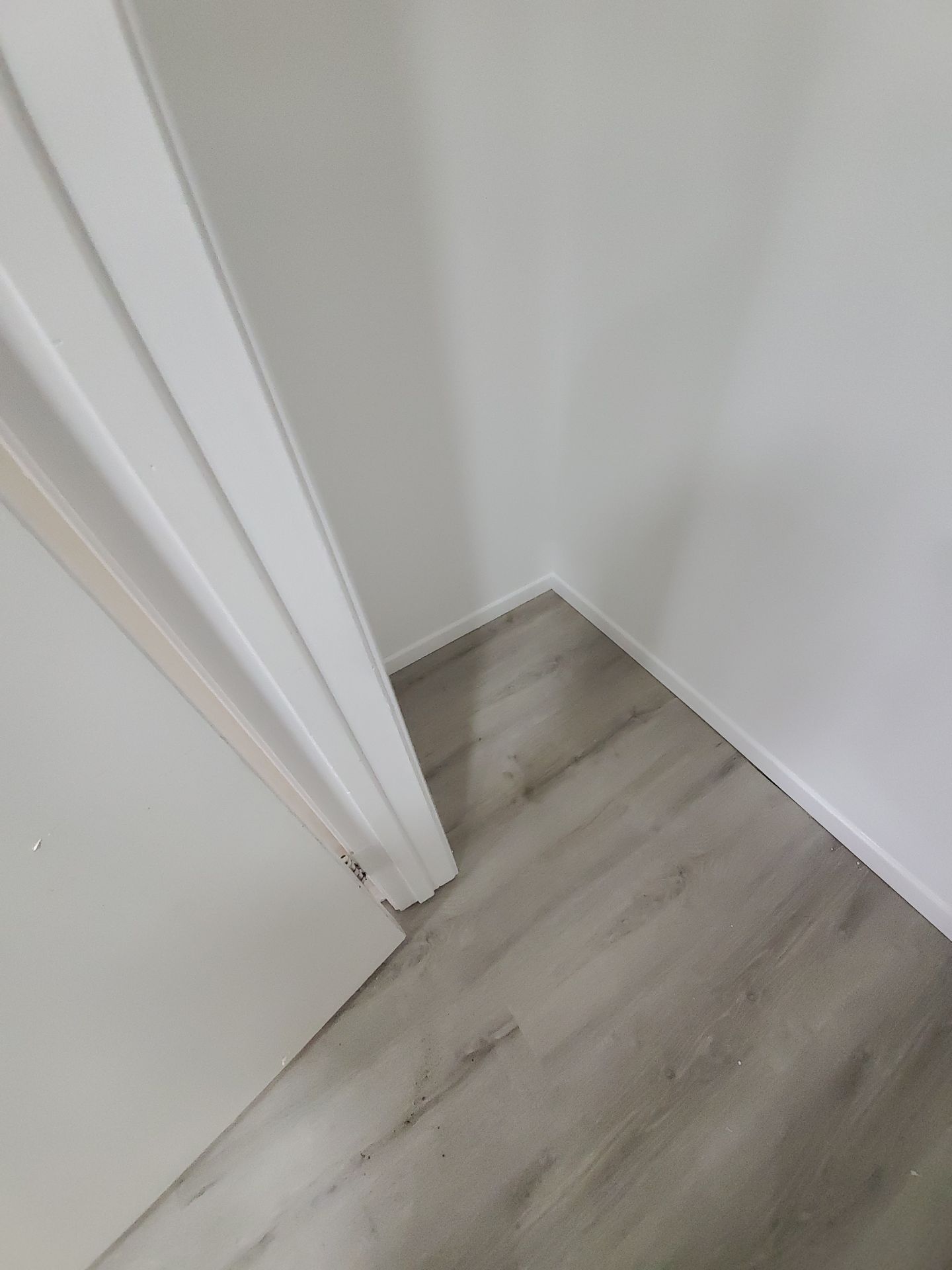 Mold Remediation & Rebuild in Laguna Niguel by One Stop Source