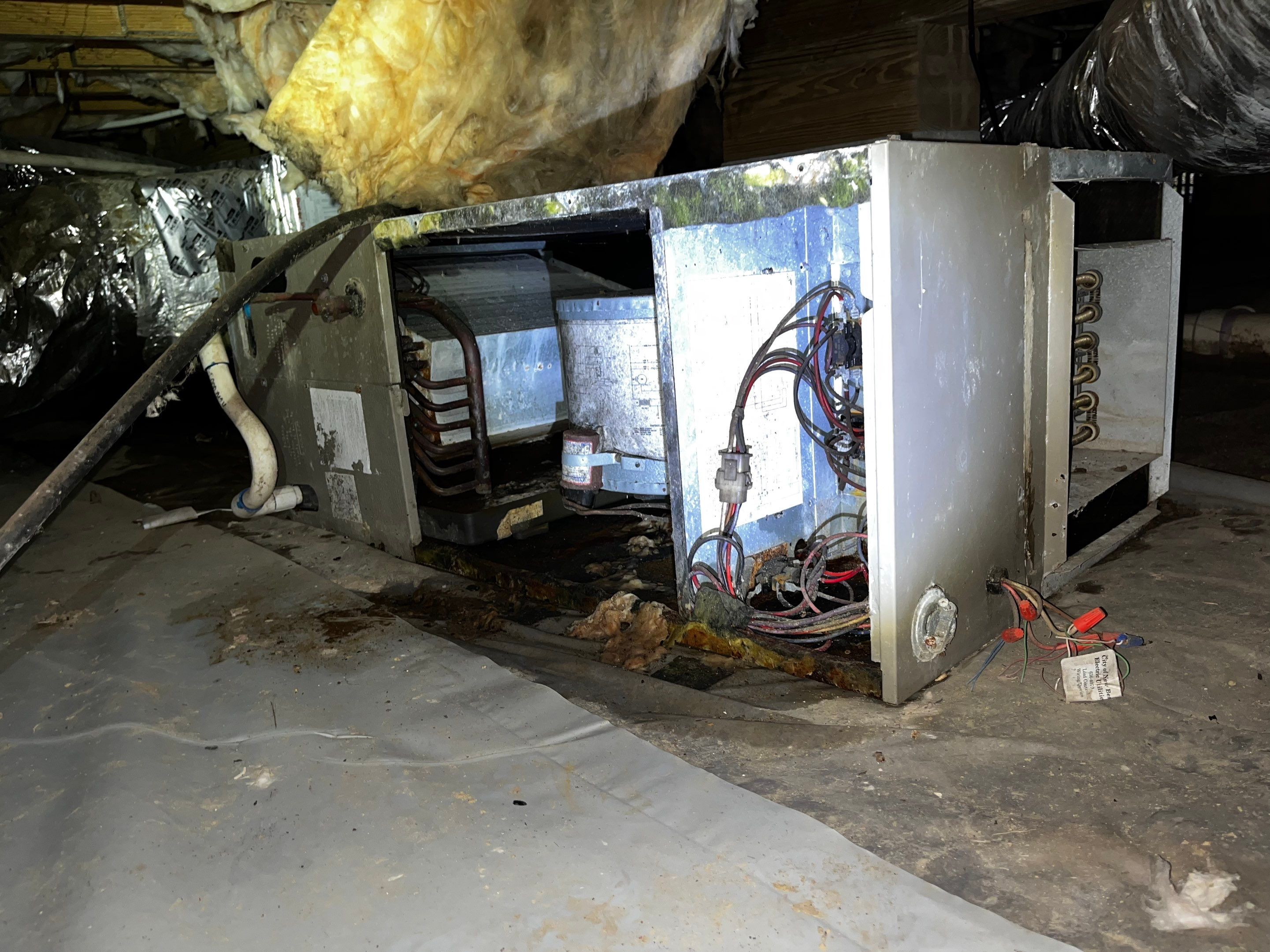 Impact Choice Encapsulation with French Drain and Crawlspace Doors by Impact Crawlspace