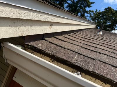 Facia Repairs