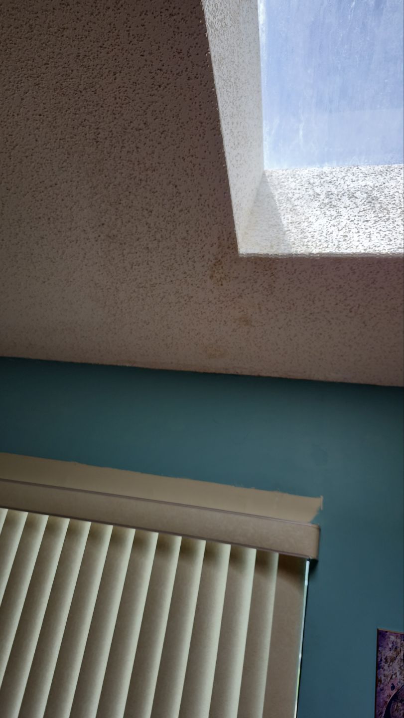 REPLACE NON APPROVED SKYLIGHT ALONG WITH CLOGED GUTTER by Morton Roofing, Inc.