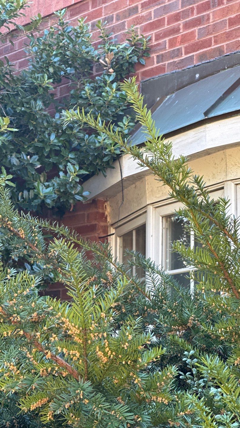 Clifton Multi-Trade Restoration: DaVinci Single Width Slate in Slate Black by RM Banning, Inc.