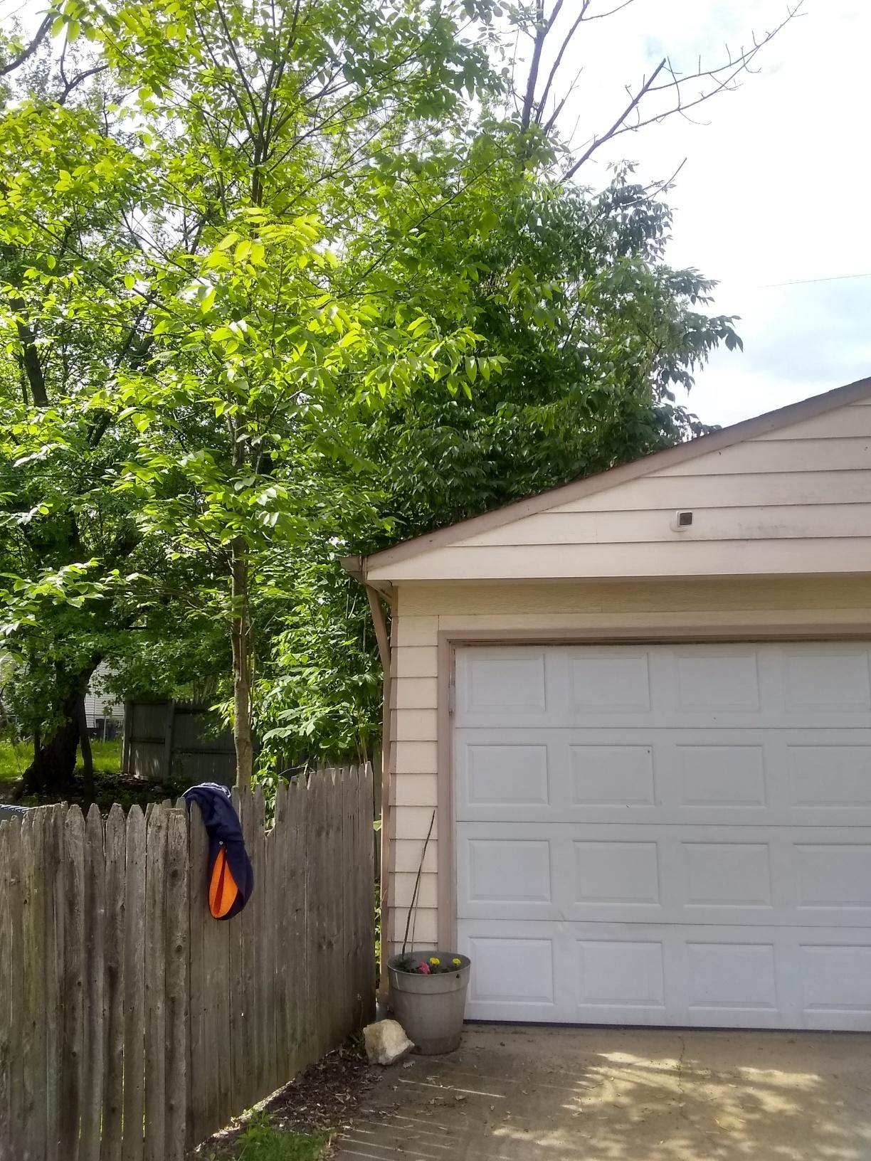 Tree Removal using Tree Removal by Mike Jones & Sons Tree Service LLC 