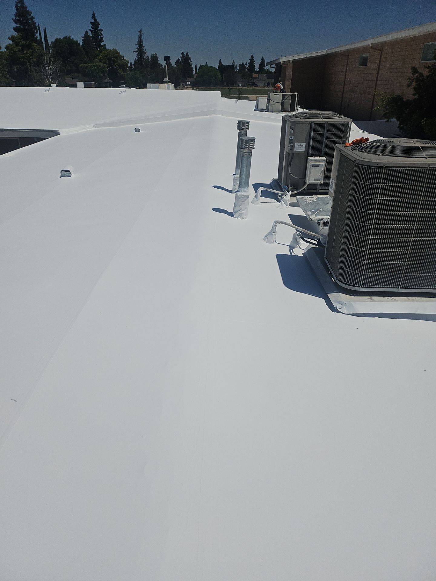 Single-ply restoration system using Benchmark/PUMA XL coatings over TPO single-ply roofing by Straight Edge Roofing Inc