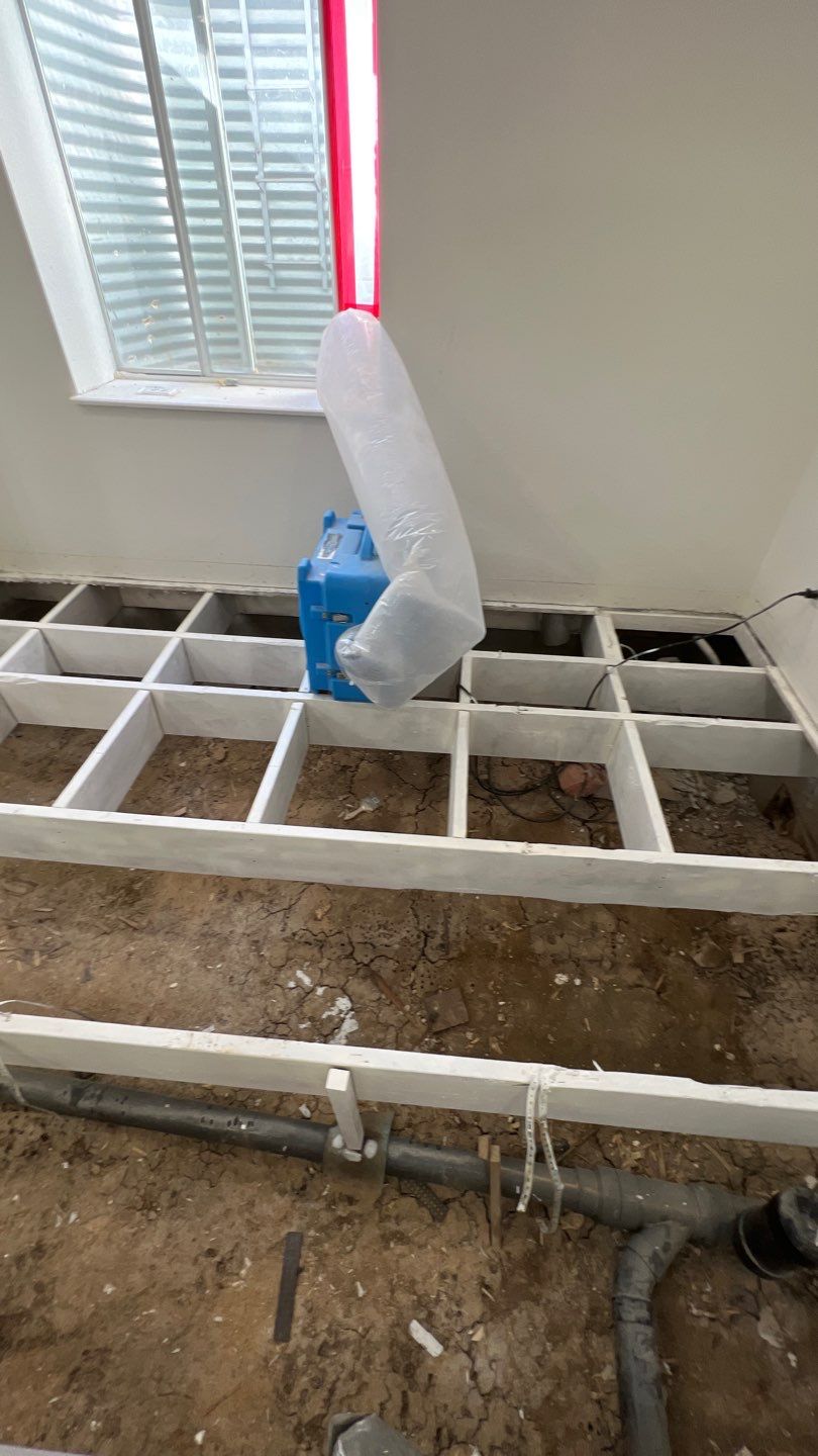 Mold Remediation by Accountable Home Services