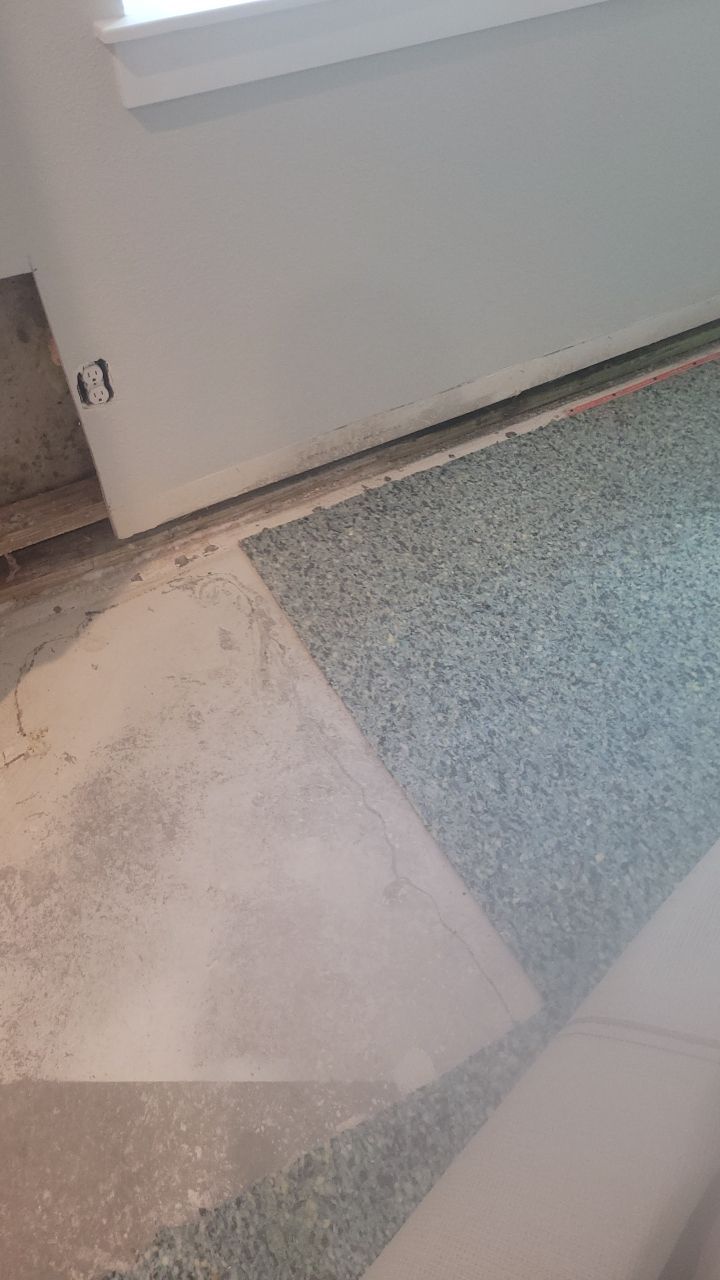 Mold Remediation  by Accountable Home Services