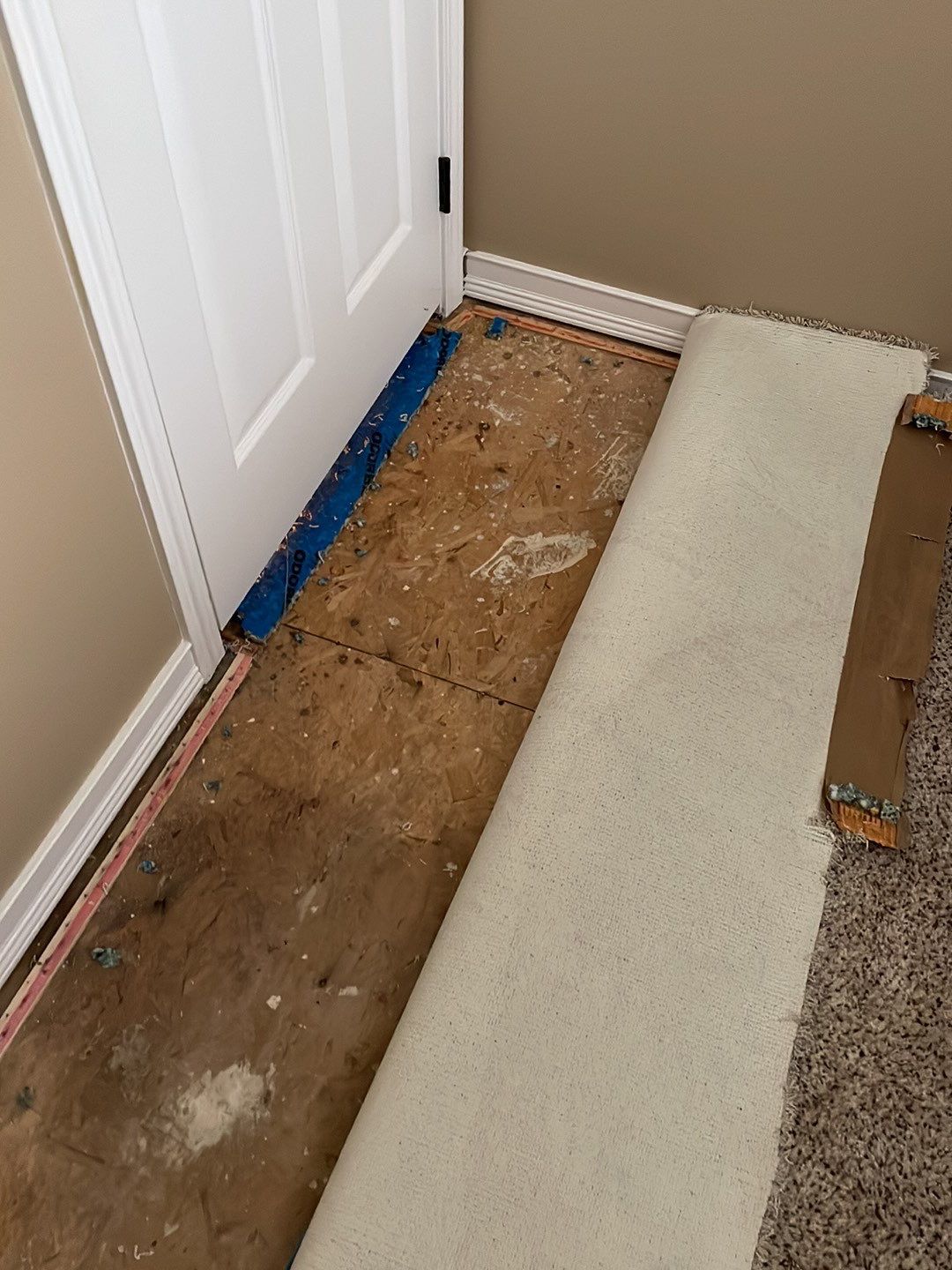 Project in Novi by EzDry Water Mitigation & Property Restoration