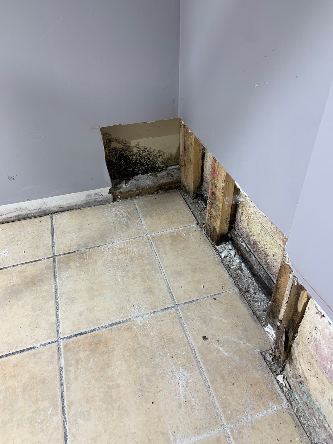 From Flooded to Dry for Lee by Waterproofing Northeast