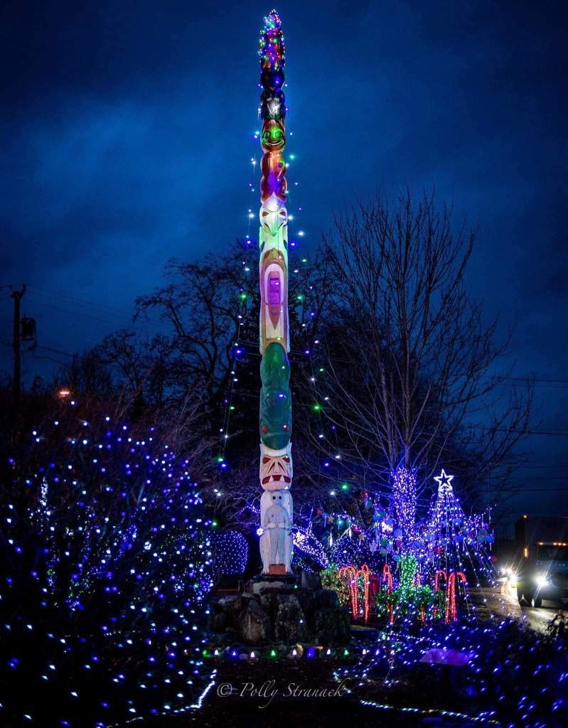 Holiday Light Gallery by WindowWorks