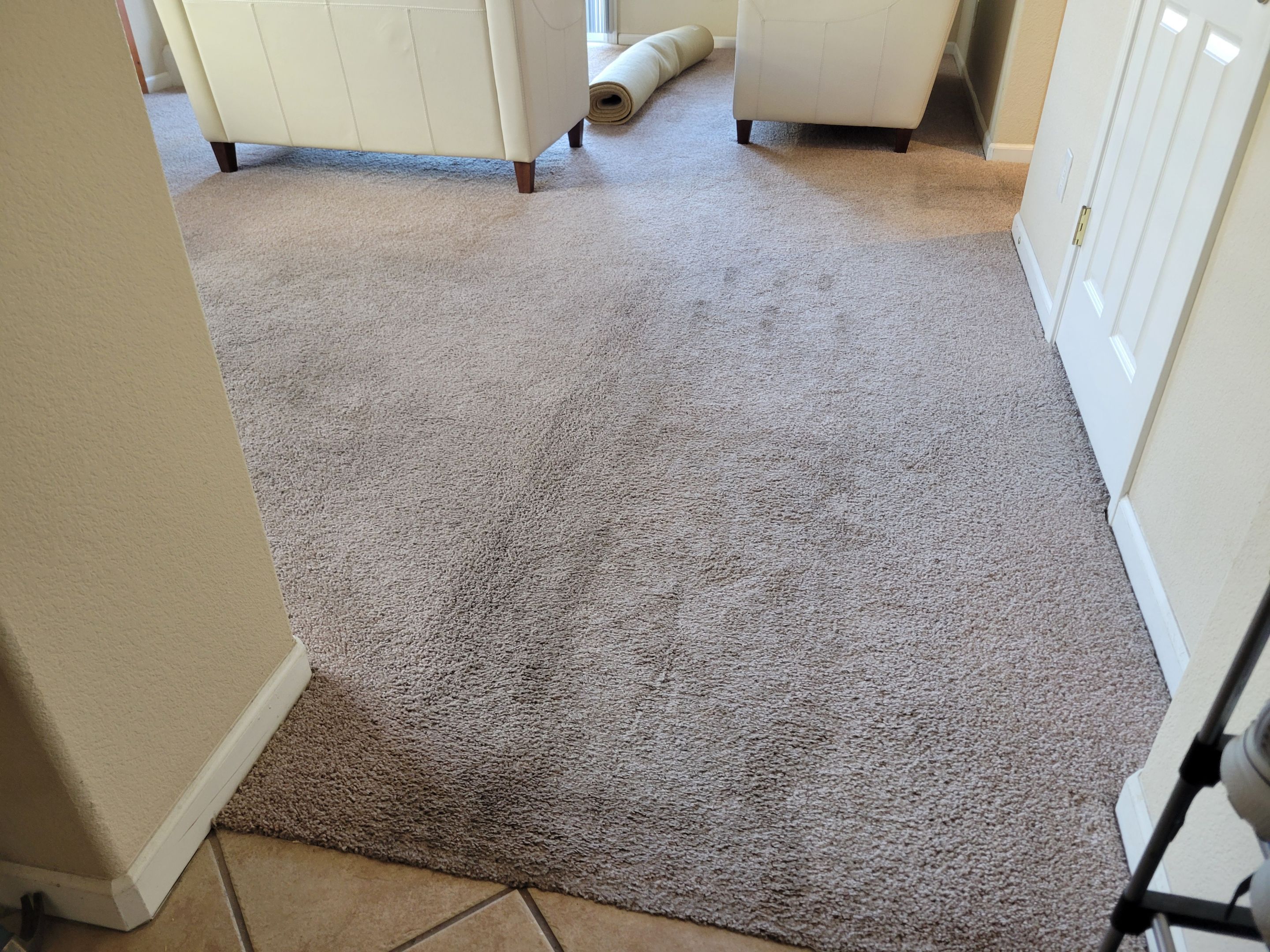 Carpet Re-stretching and Corrective Repair by Ardent Carpet Restore LLC