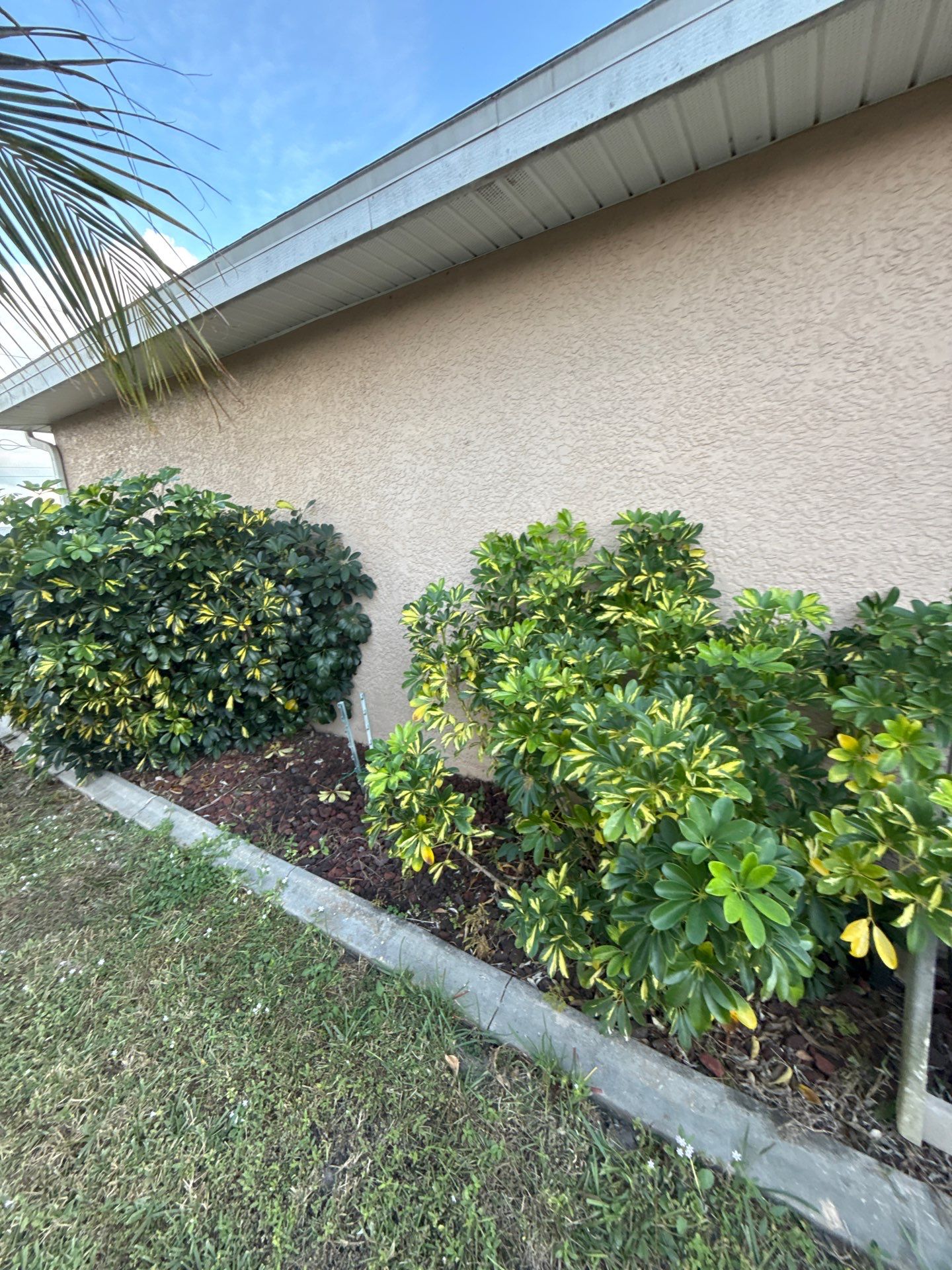 Project in Cape Coral by Sunbelt Home Solutions