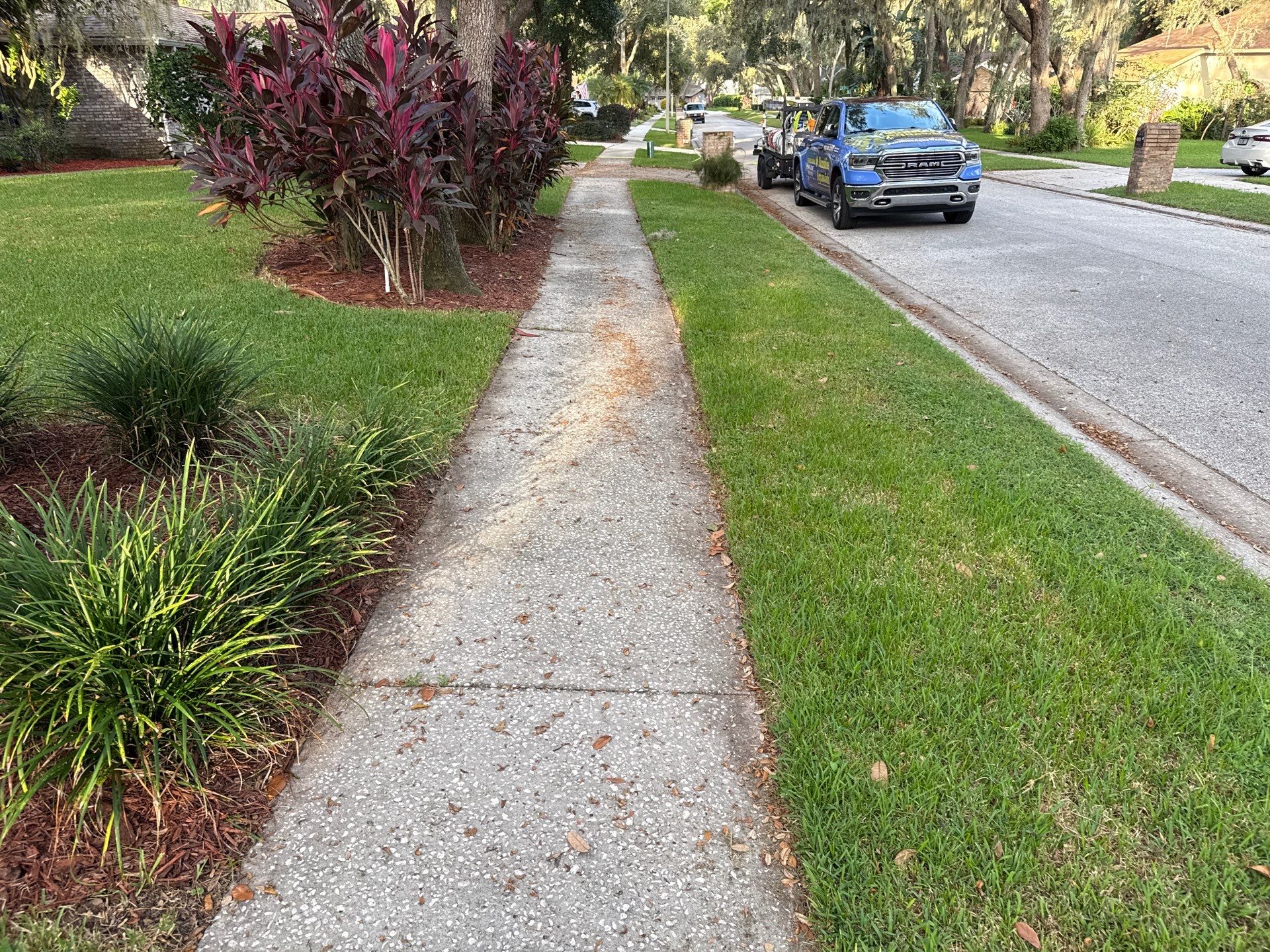 Concrete Driveway & Sidewalk Cleaning in Valrico, FL by Sunshine AquaWash