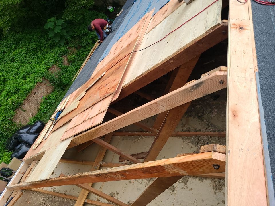 Springfield Tree Damage Restoration: CertainTeed Landmark Designer Shingles in Charcoal Black by RM Banning, Inc.