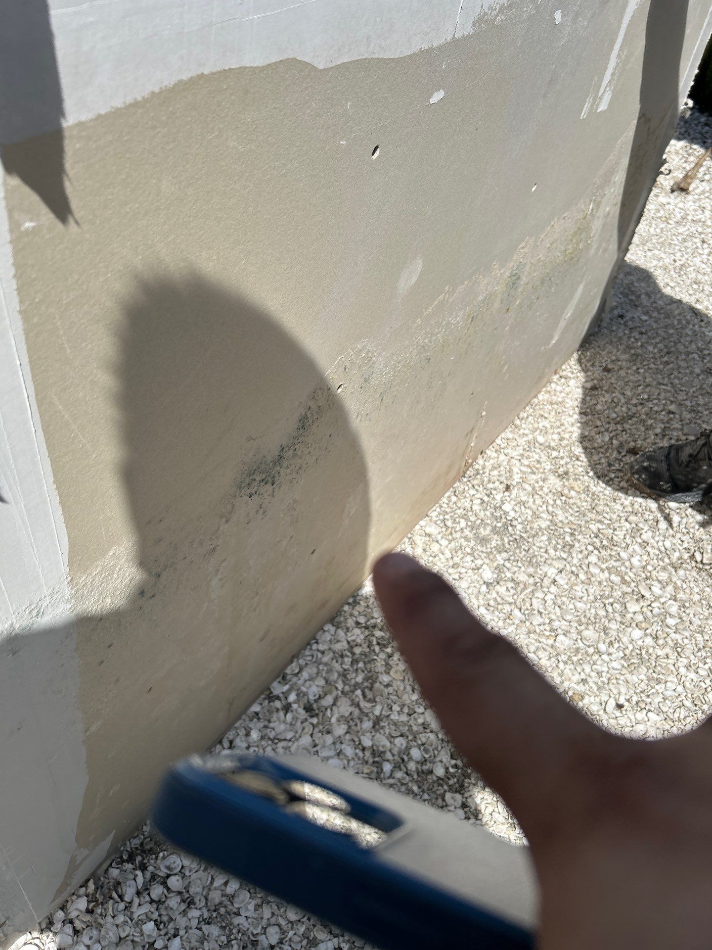 Flood Damage Restoration In Anna Maria by Ampm Restoration Services