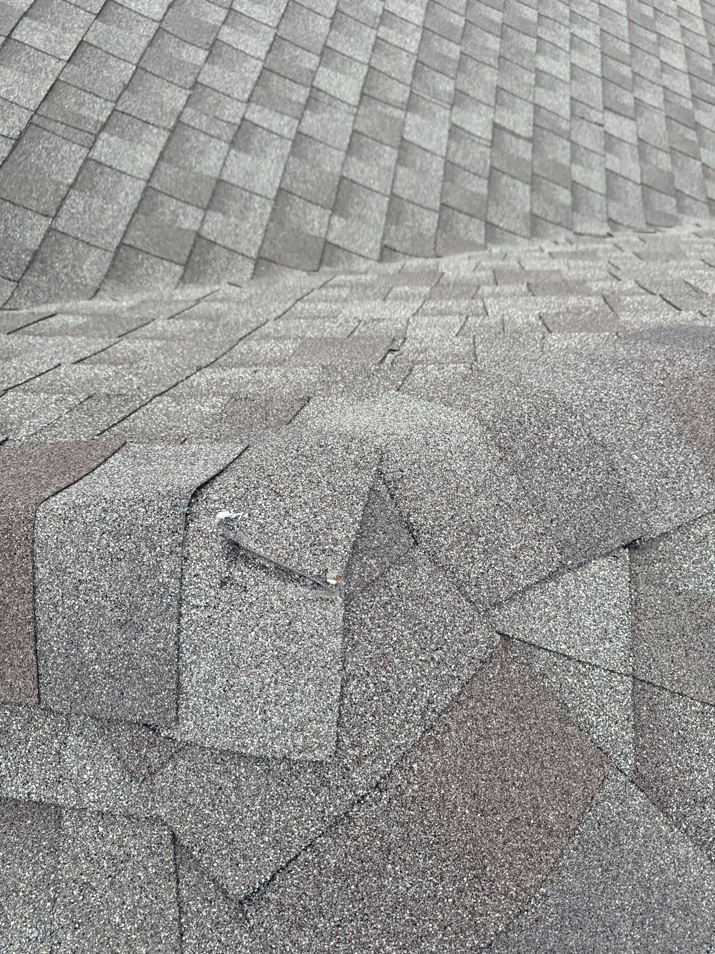Roof Repair Spring by Roof Repair Company